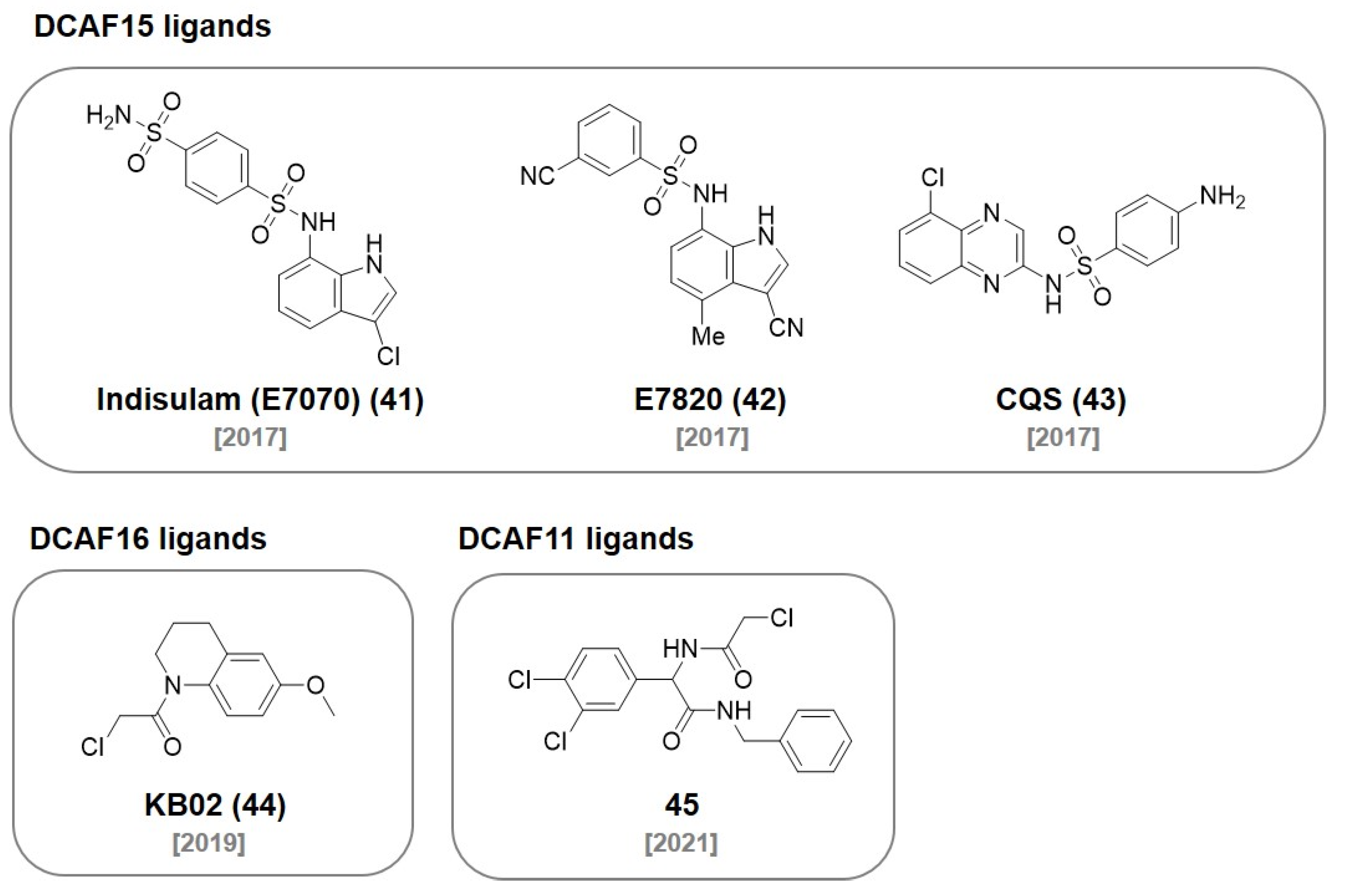 Molecules 27 06515 g012