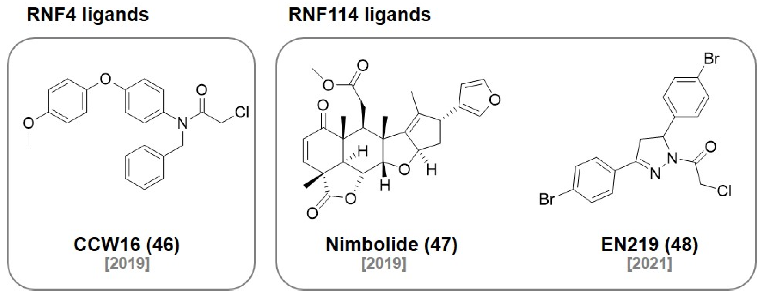 Molecules 27 06515 g014