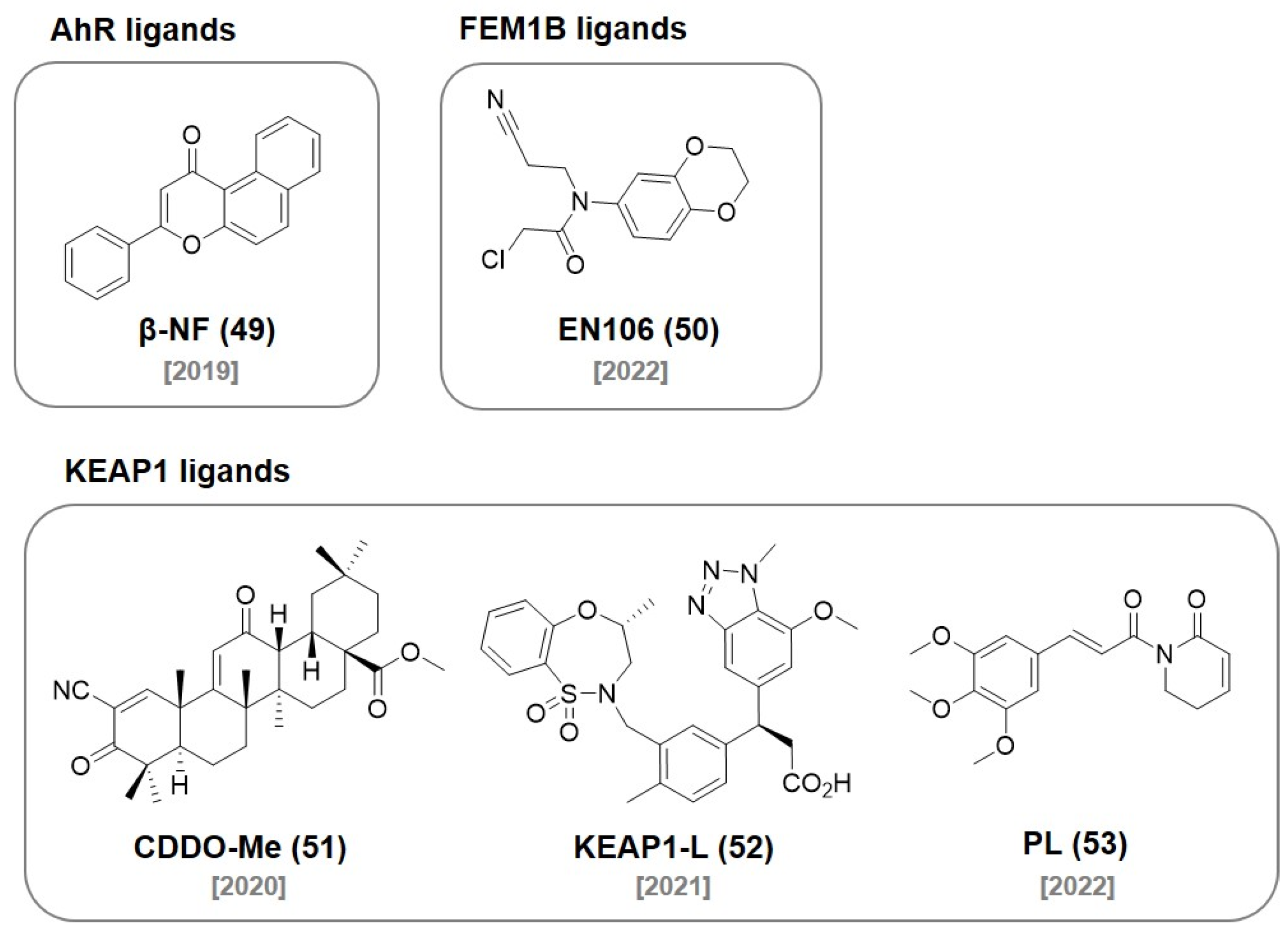Molecules 27 06515 g016
