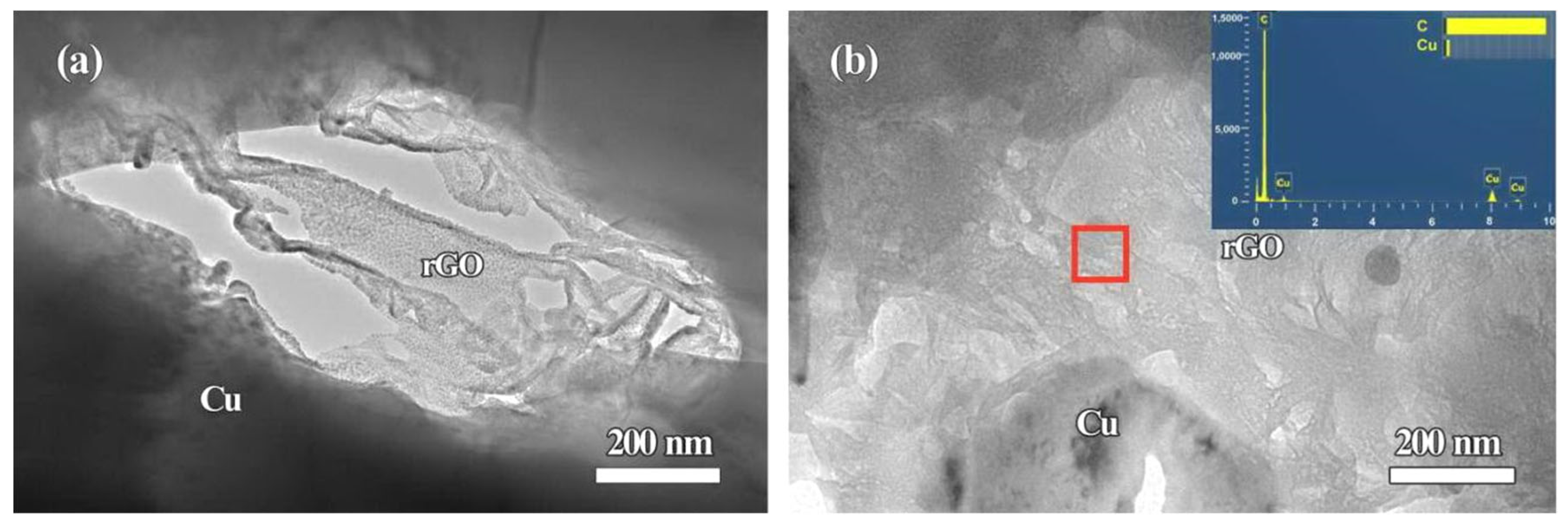 Molecules 27 06518 g008