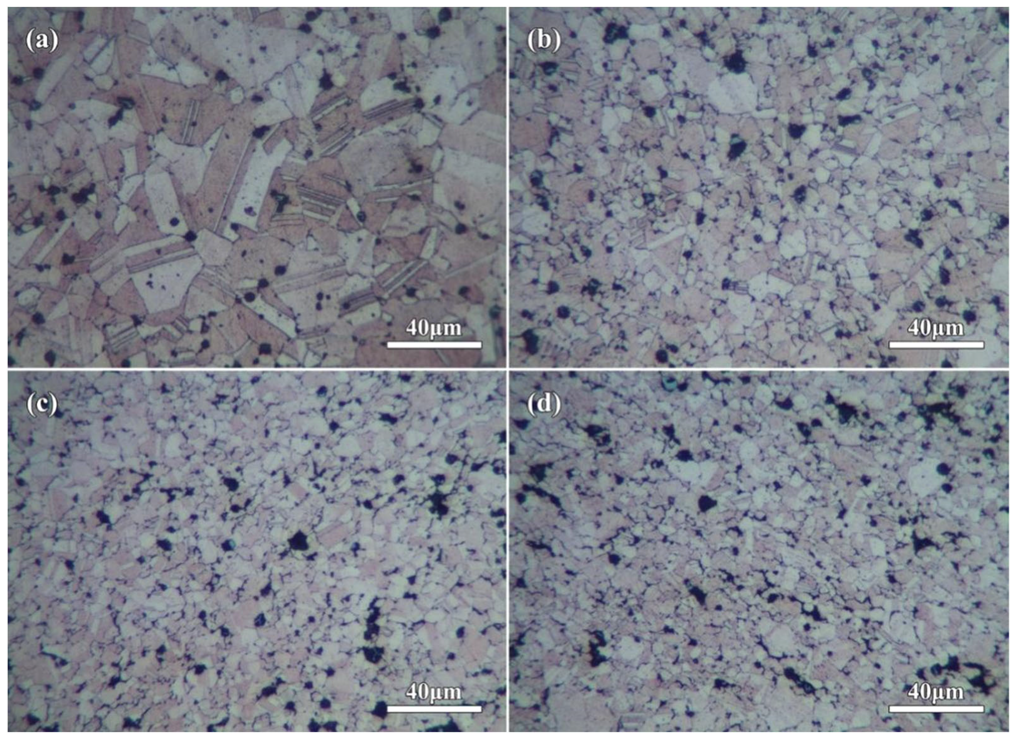 Molecules 27 06518 g009