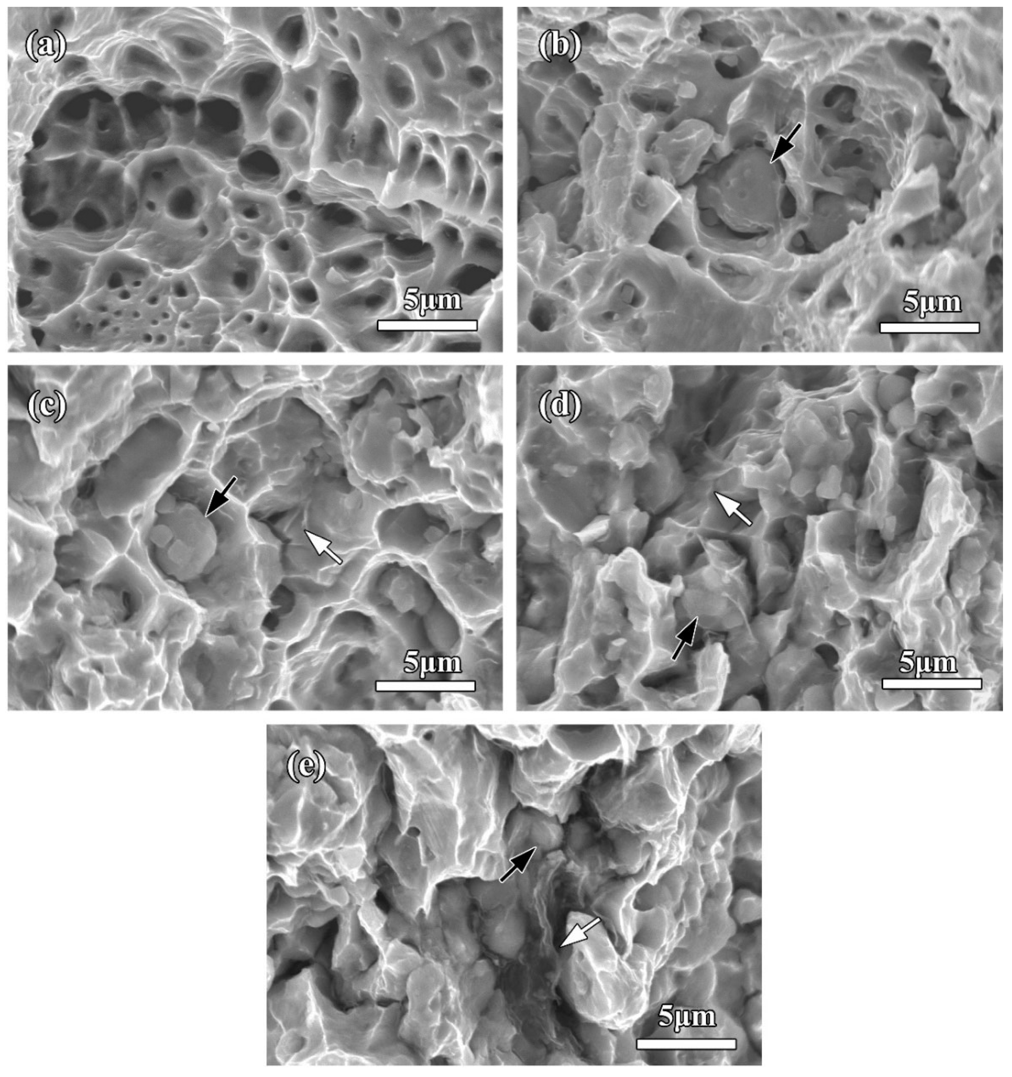 Molecules 27 06518 g013