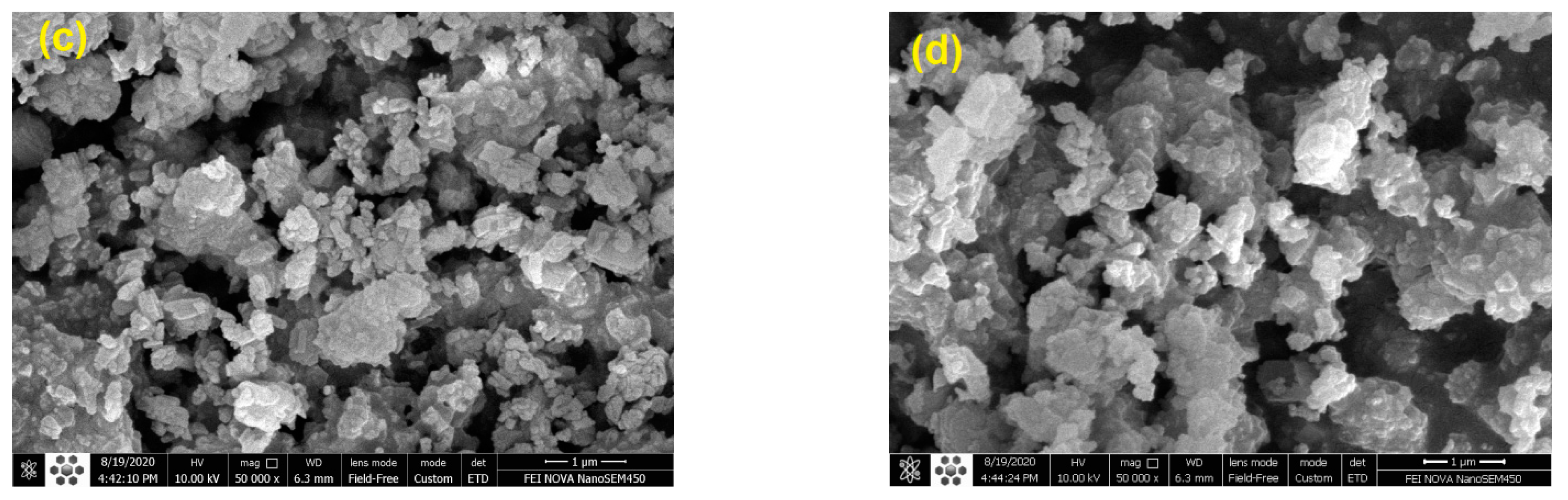 Molecules 27 06527 g008b