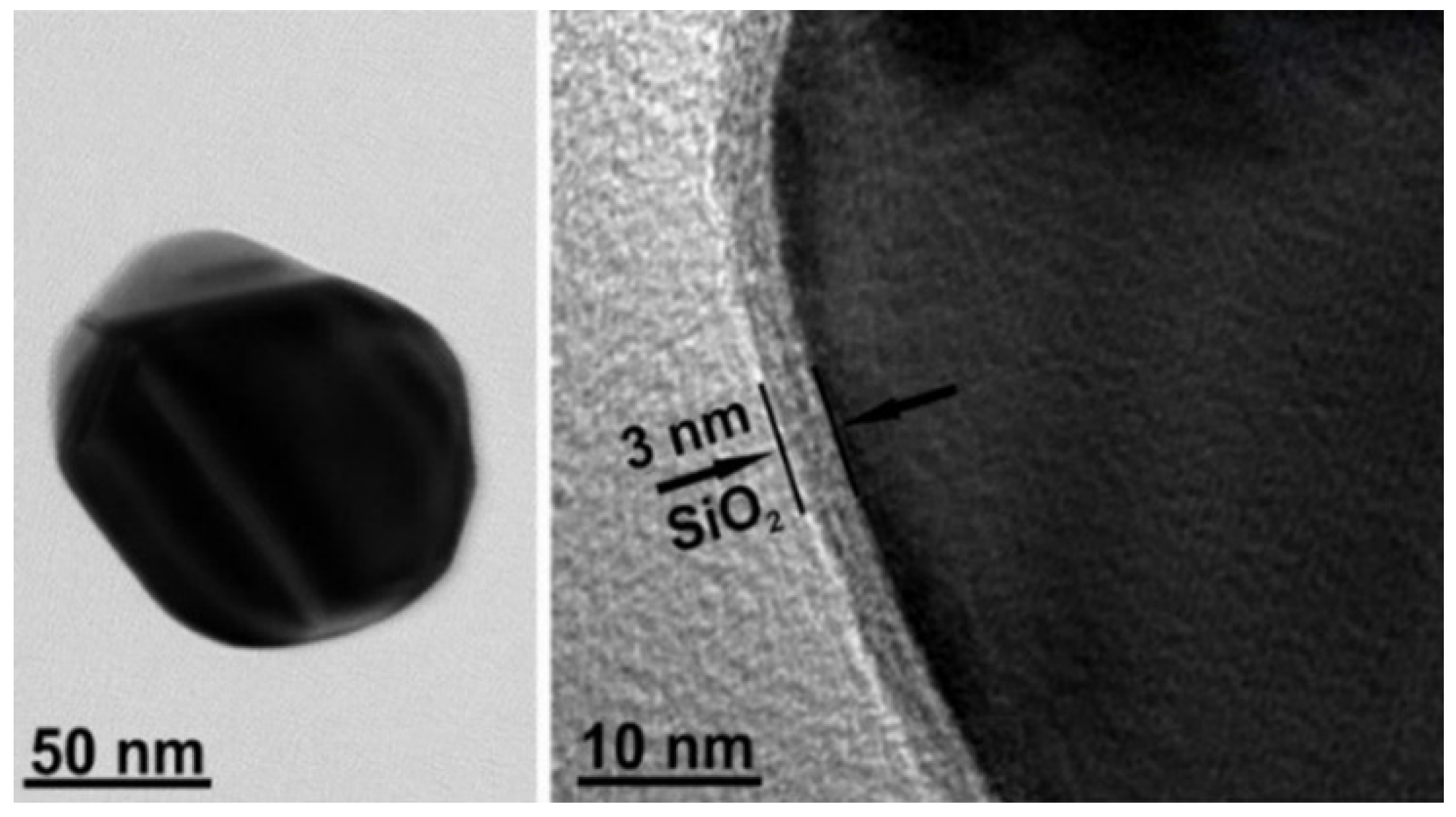 Molecules 27 06531 g002 Molecules 27 06531 g002