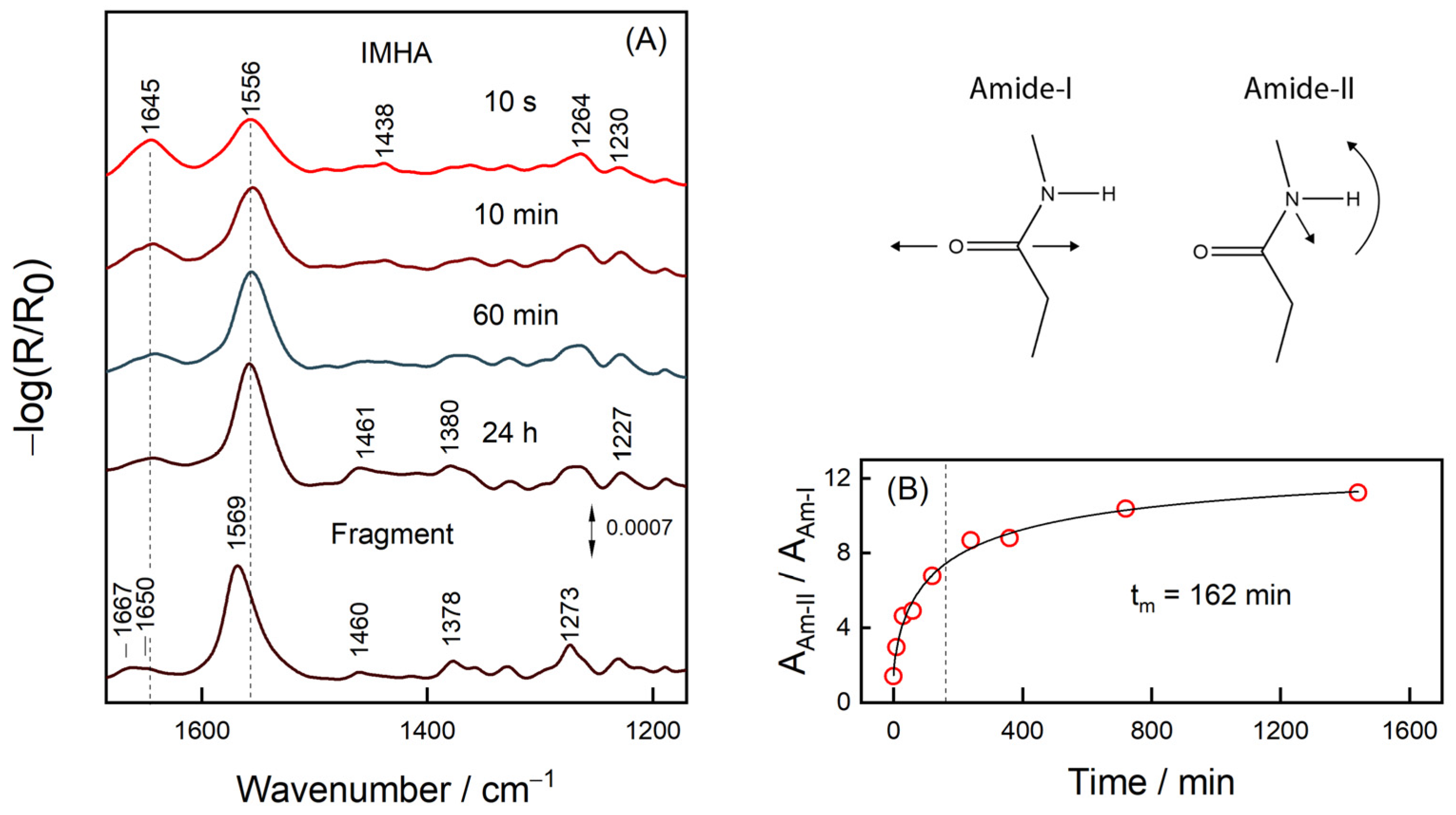 Molecules 27 06531 g005 Molecules 27 06531 g005