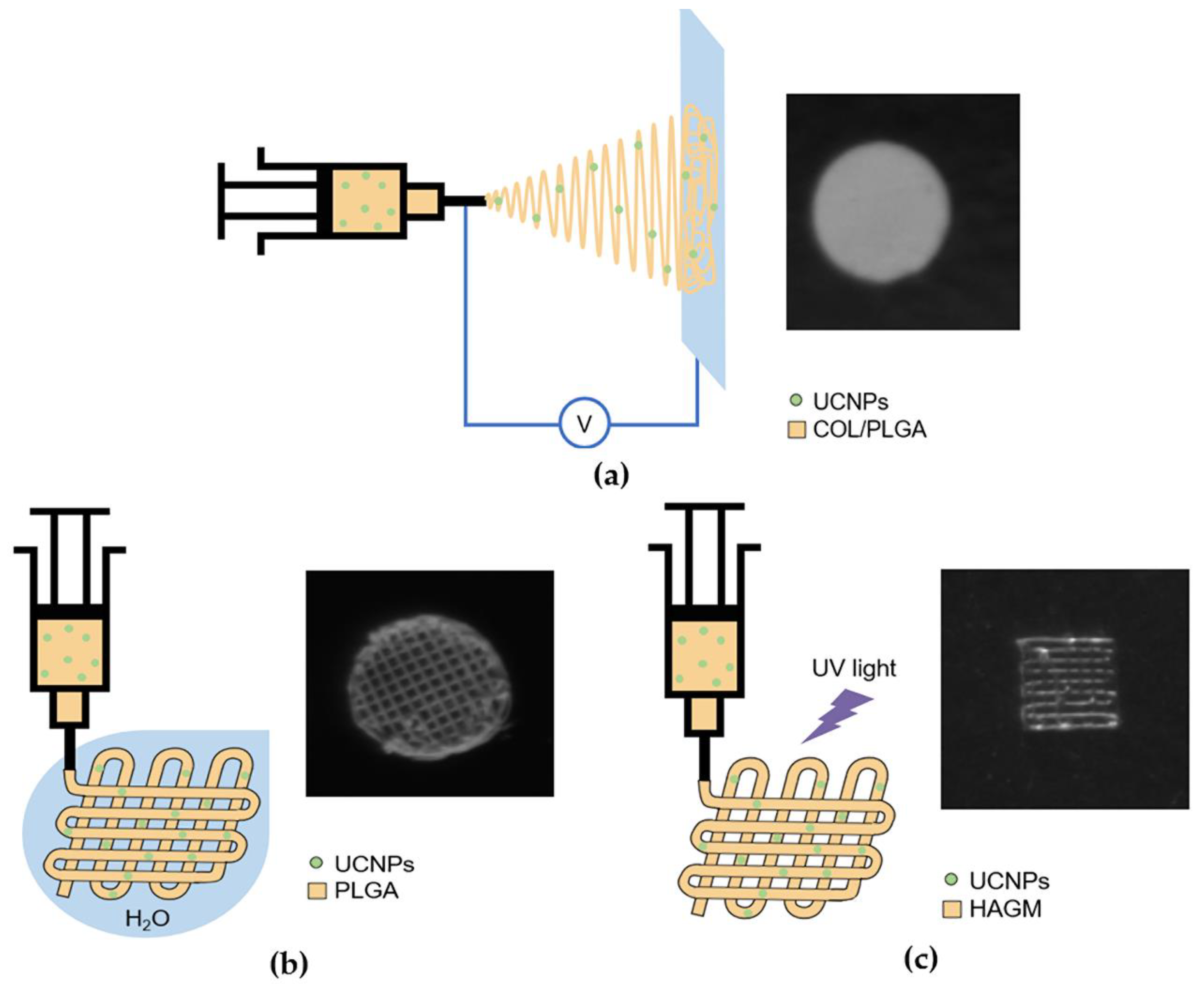 Molecules 27 06547 g005