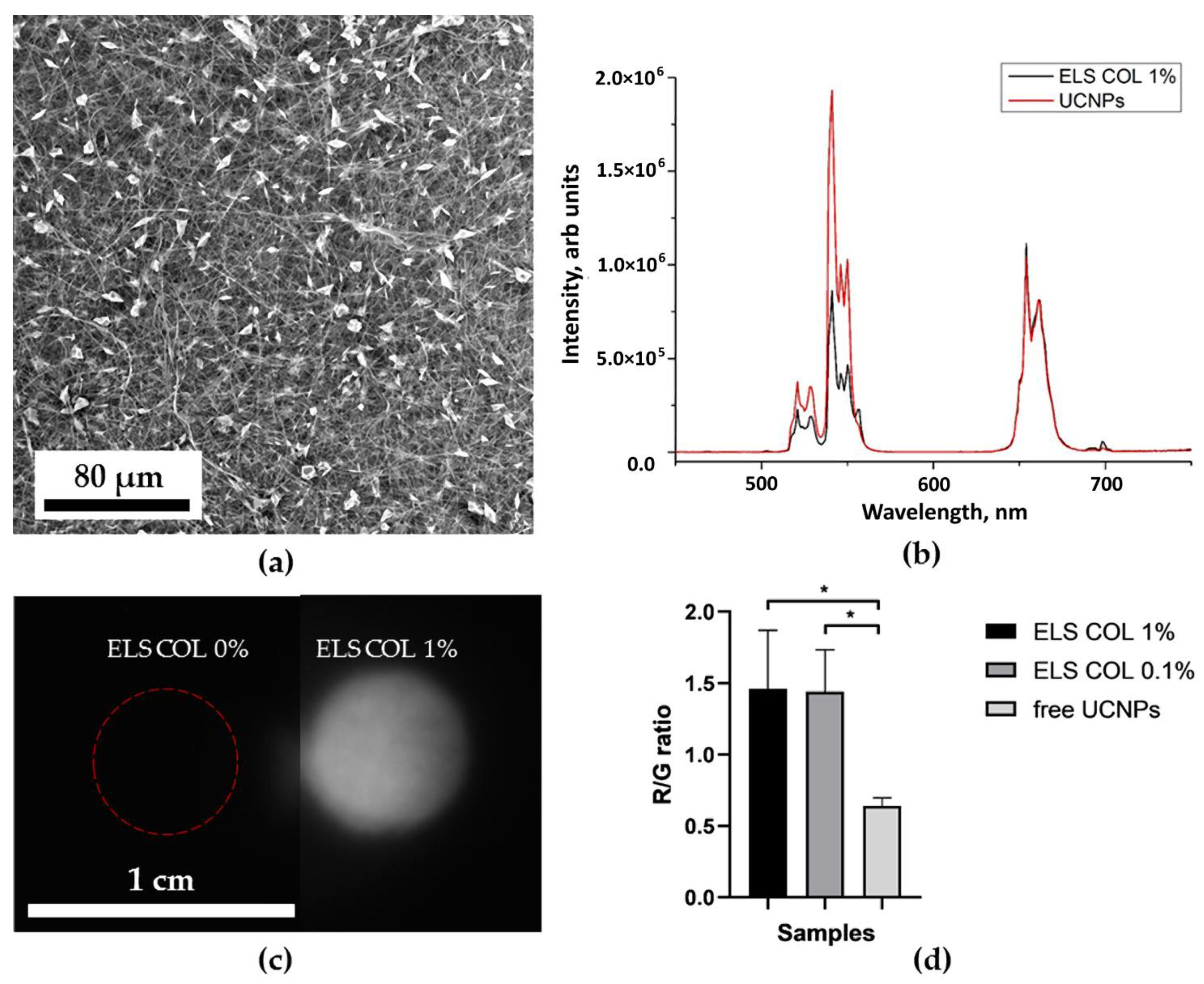 Molecules 27 06547 g006