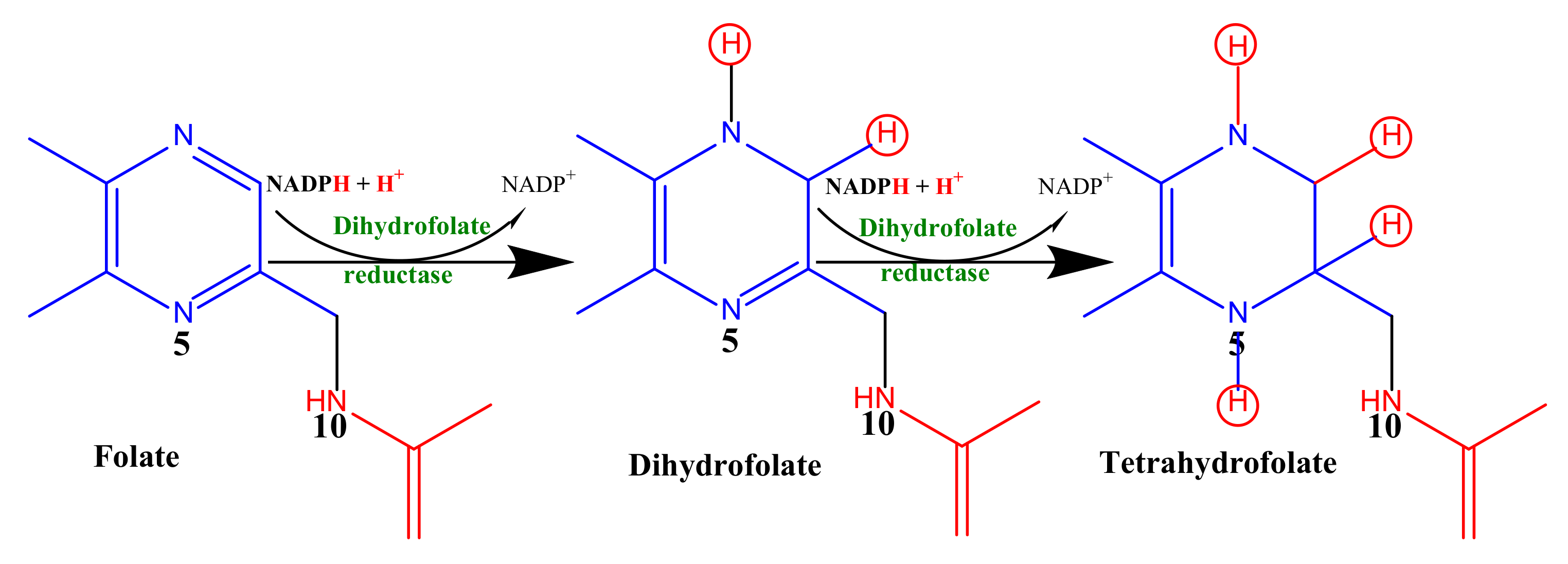 Molecules 27 06574 sch001 Molecules 27 06574 sch001