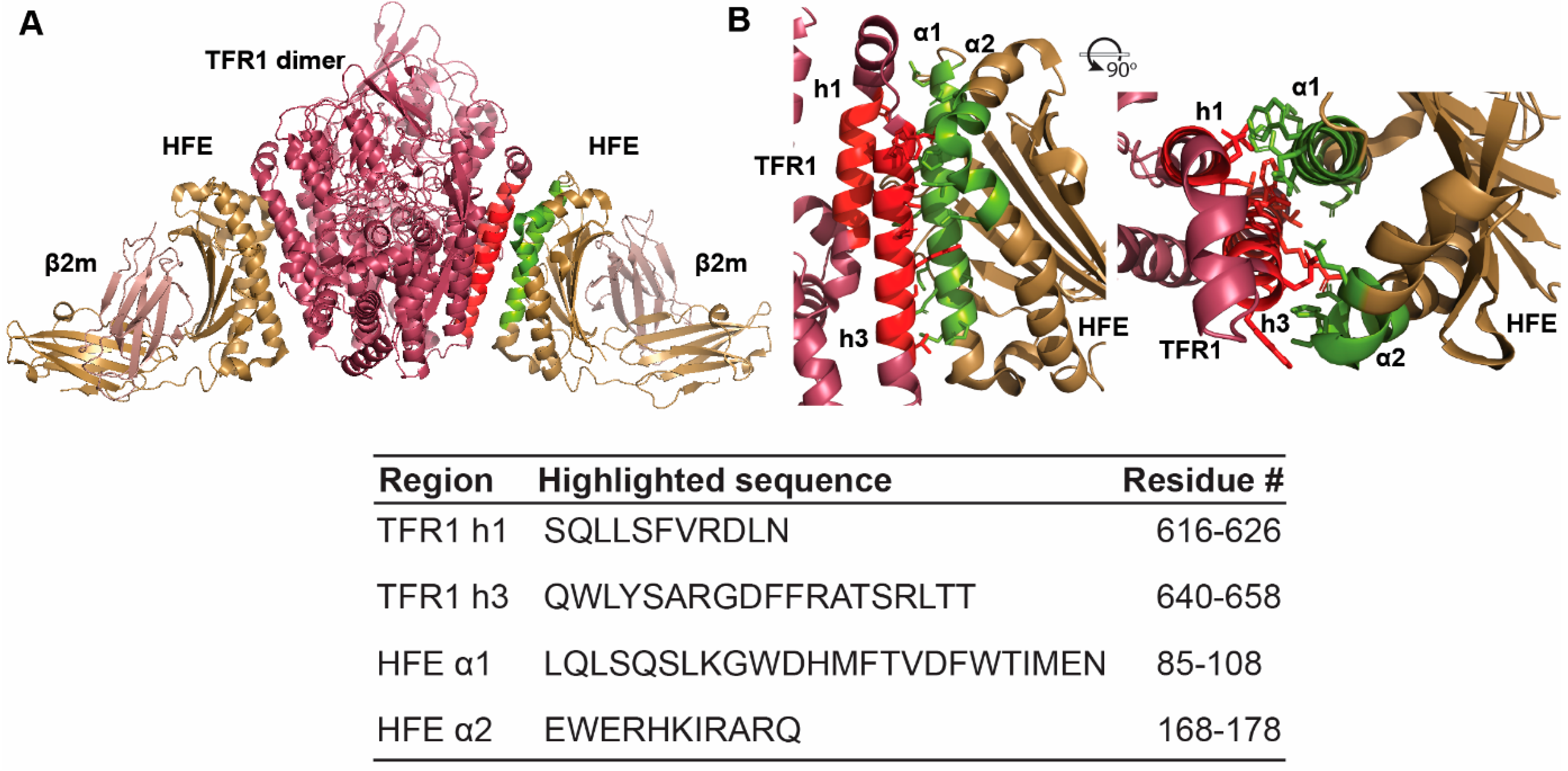 Molecules 27 06581 g001 Molecules 27 06581 g001