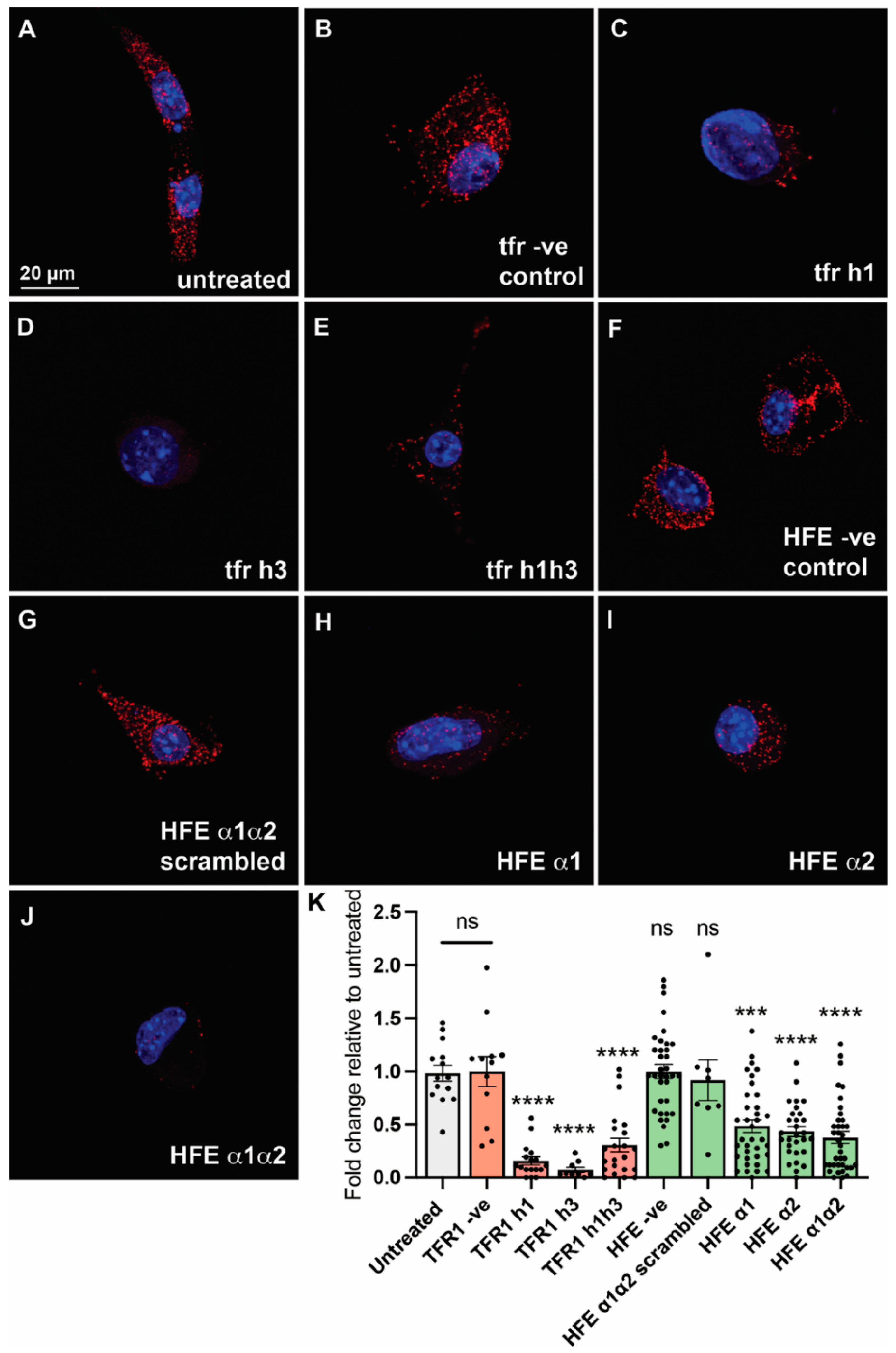 Molecules 27 06581 g003 Molecules 27 06581 g003