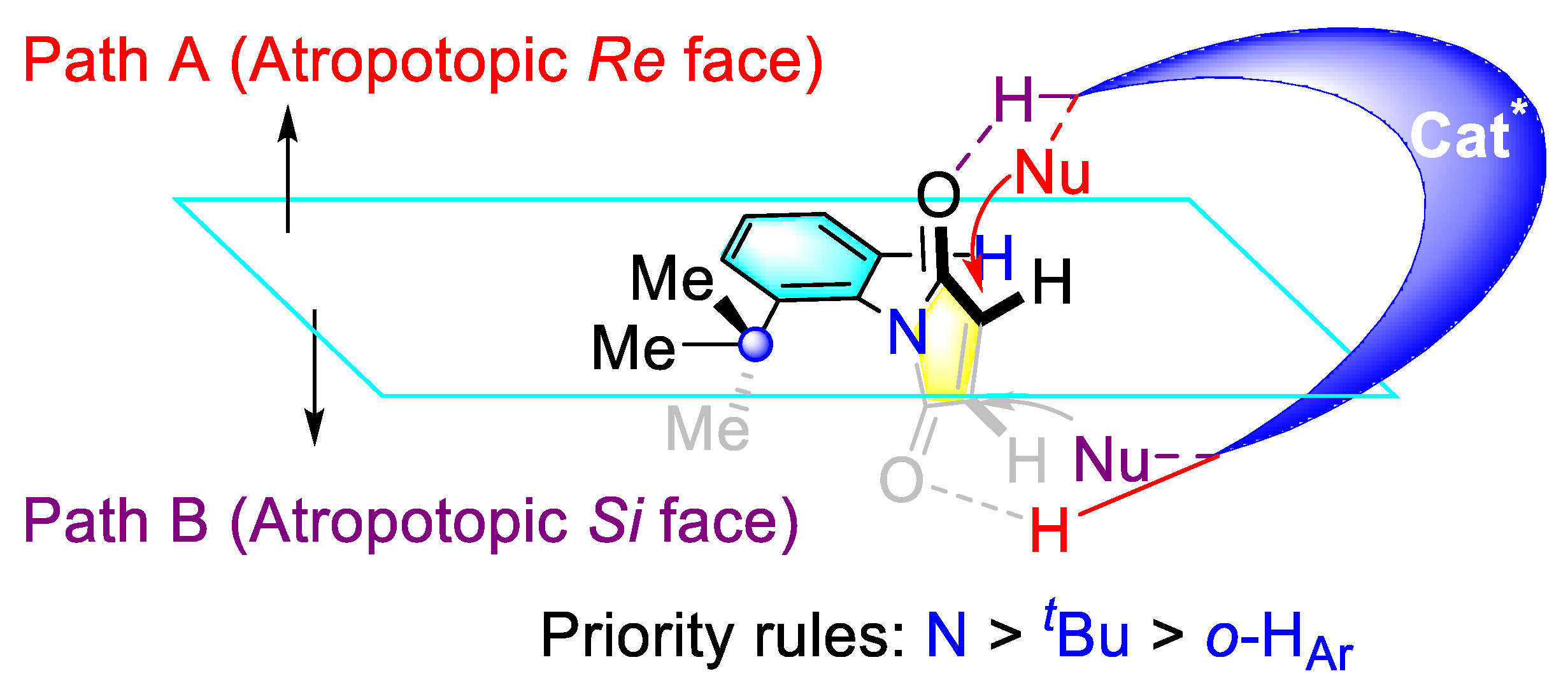 Molecules 27 06583 sch030