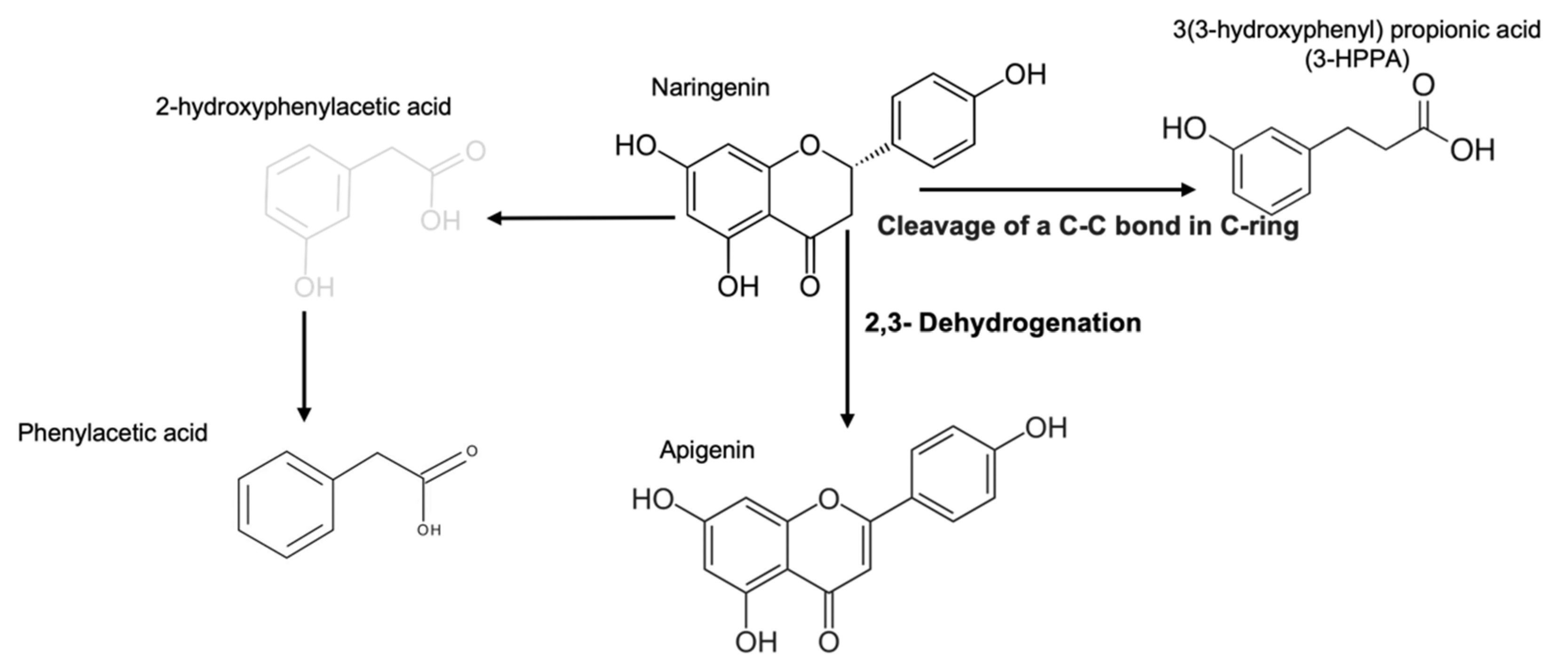 Molecules 27 06588 g001