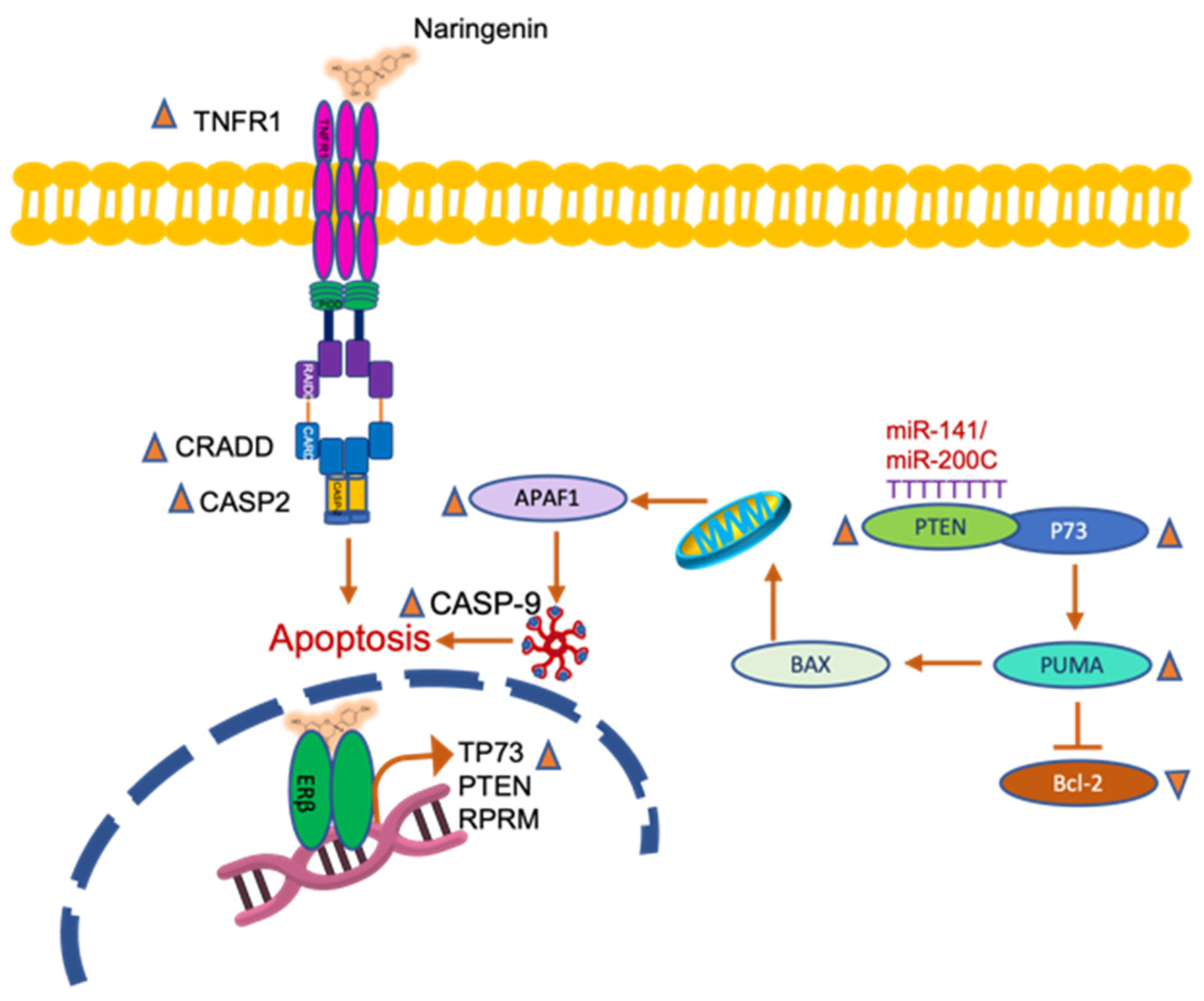 Molecules 27 06588 g009