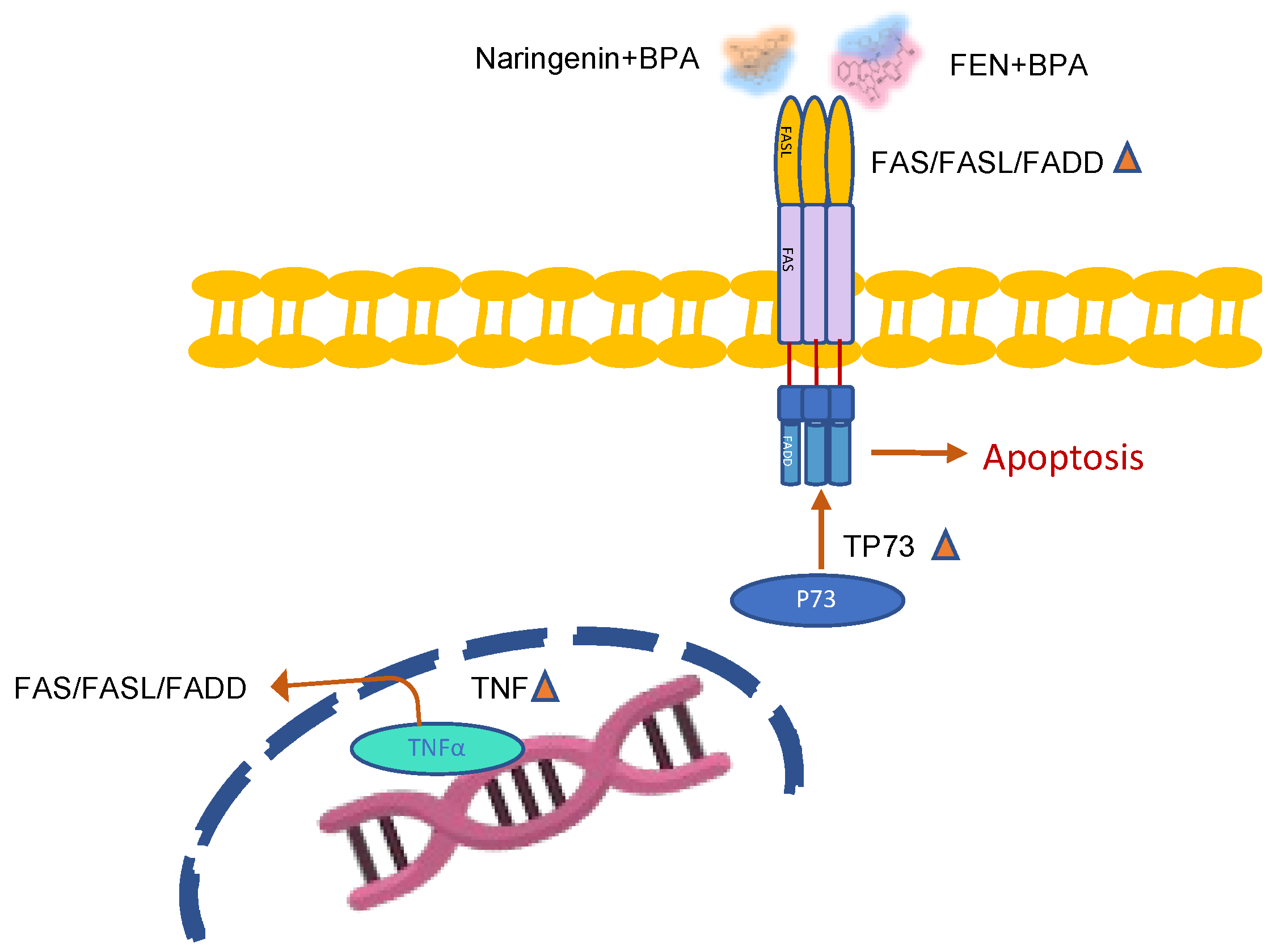 Molecules 27 06588 g011