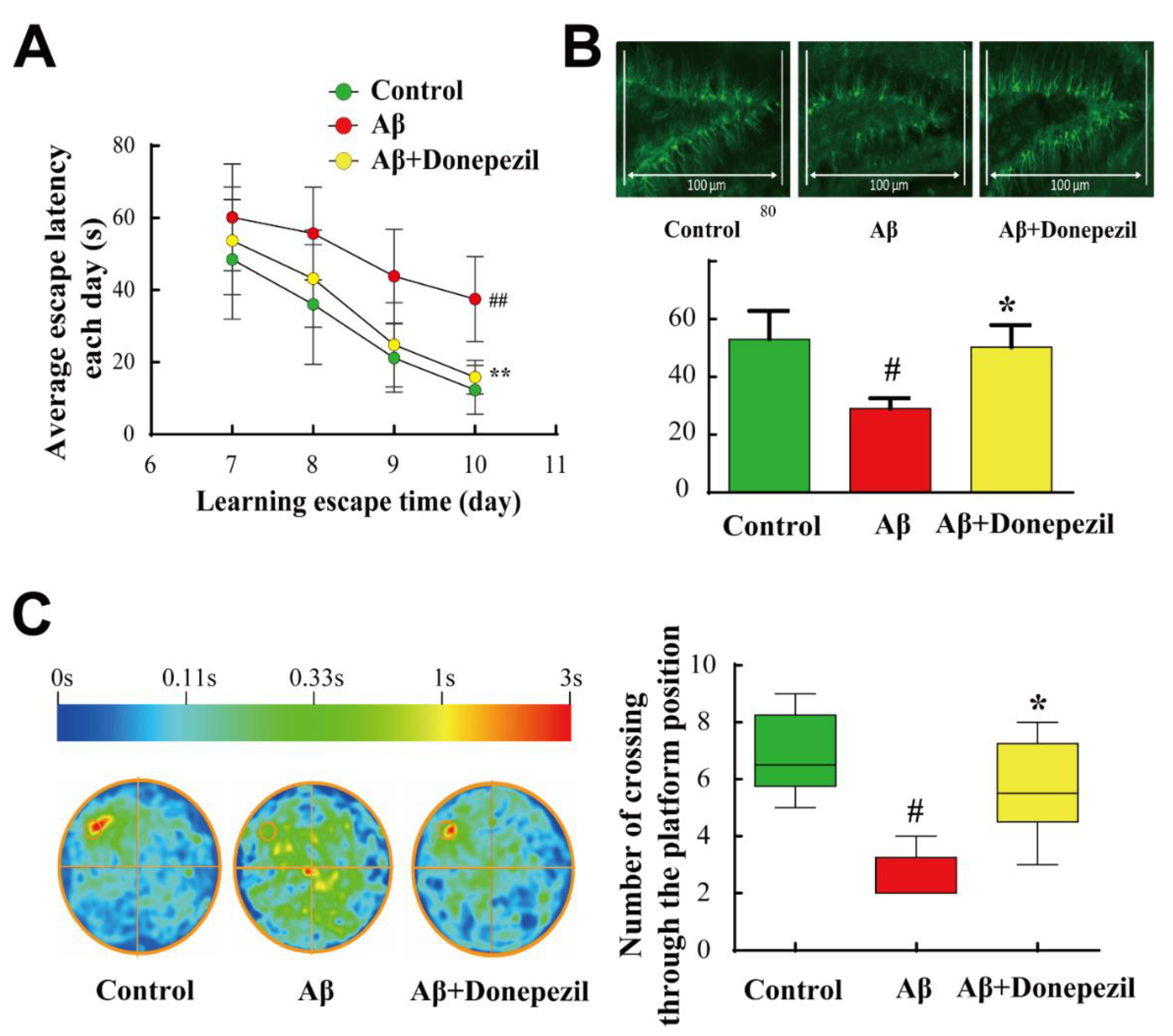 Time schedule for administration of vehicle, donepezil, and inosine in