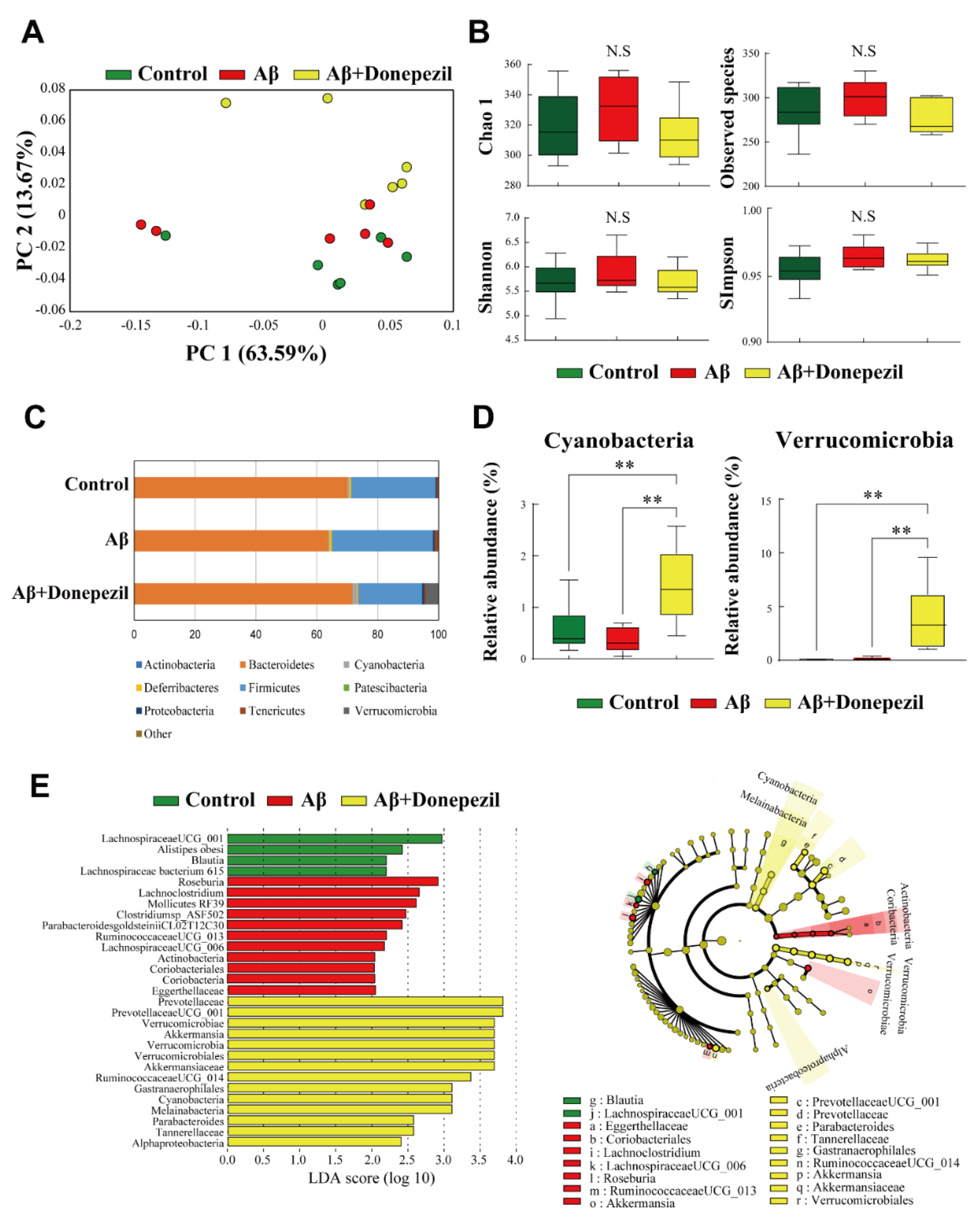 Time schedule for administration of vehicle, donepezil, and inosine in