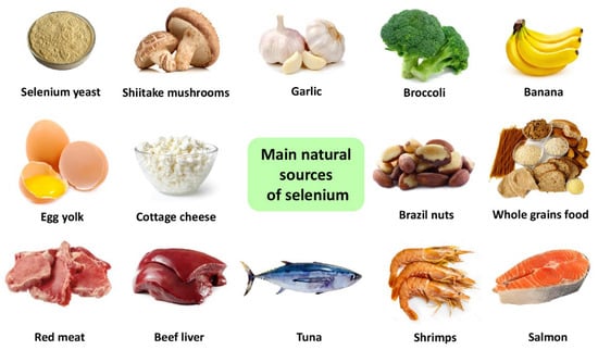 Molecules | Free Full-Text | Selenium: An Antioxidant with a Critical ...