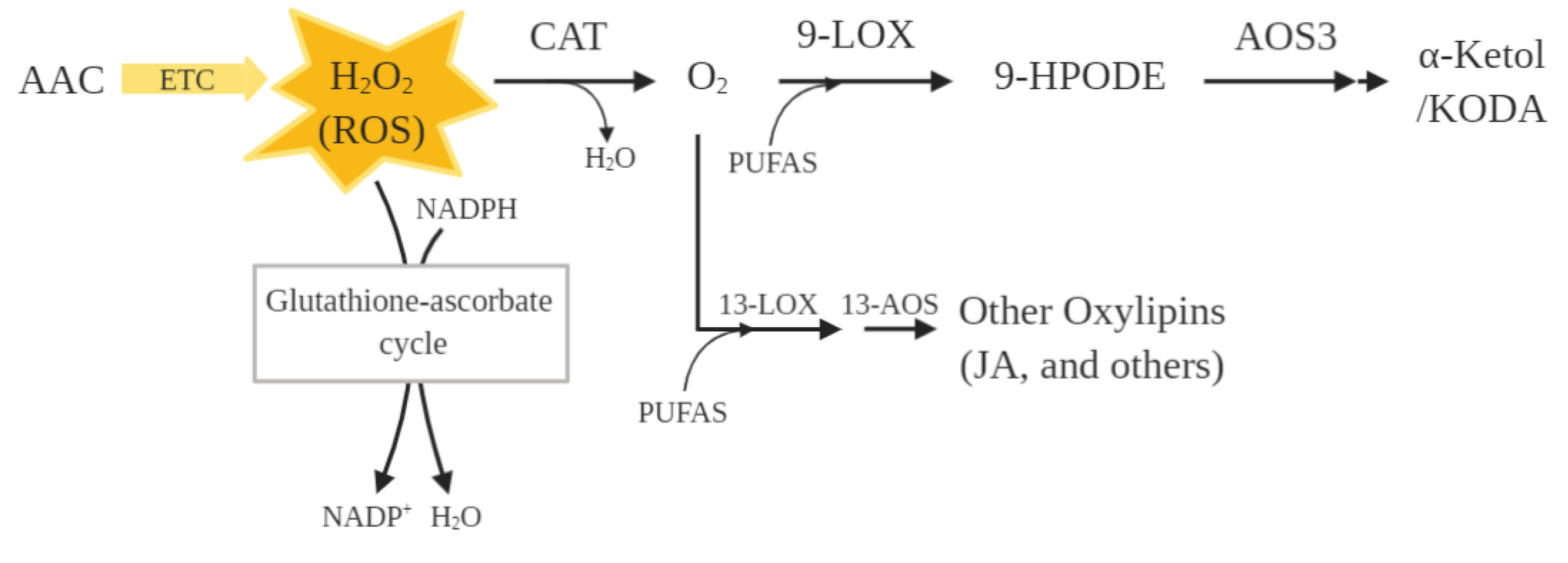 Molecules 27 06621 g004 Molecules 27 06621 g004