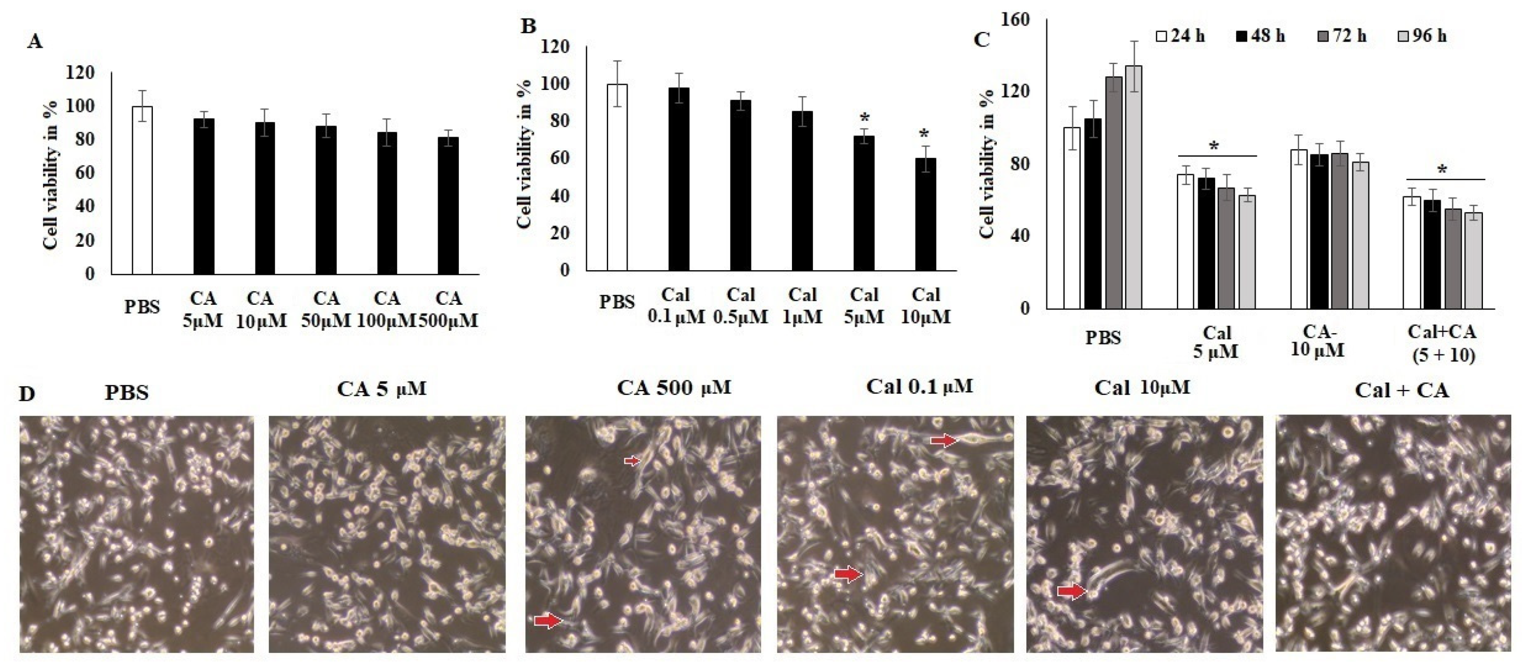 Molecules 27 06624 g002