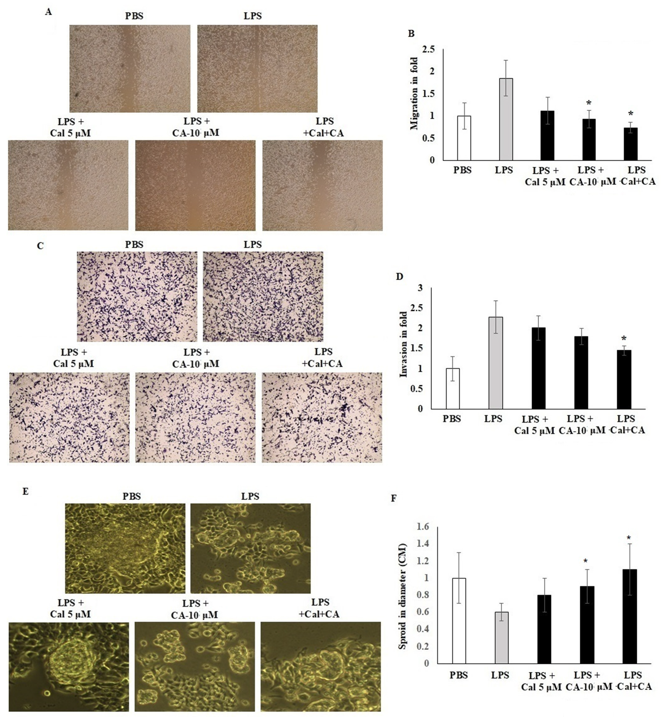 Molecules 27 06624 g004