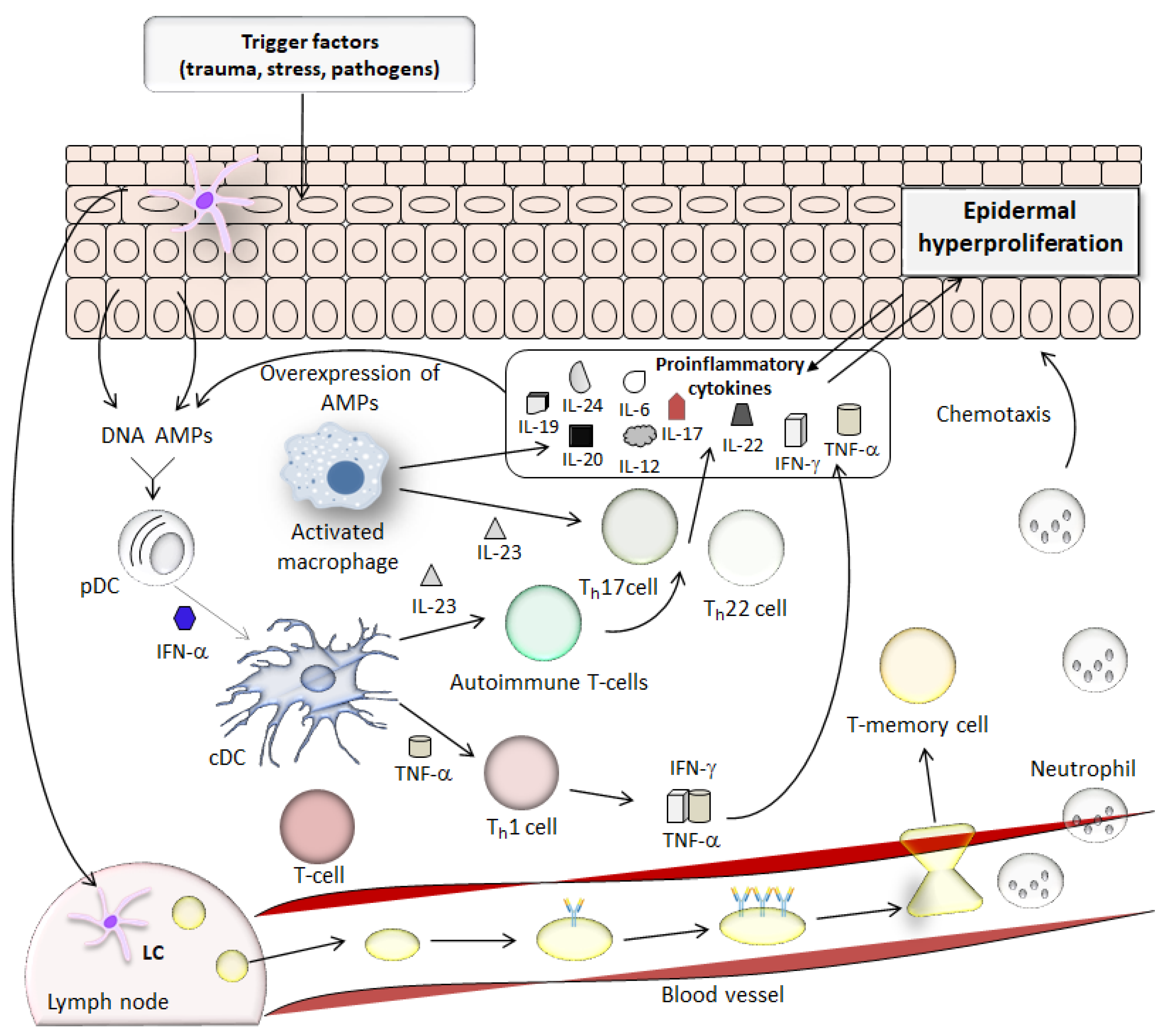 Molecules 27 06640 g002 Molecules 27 06640 g002