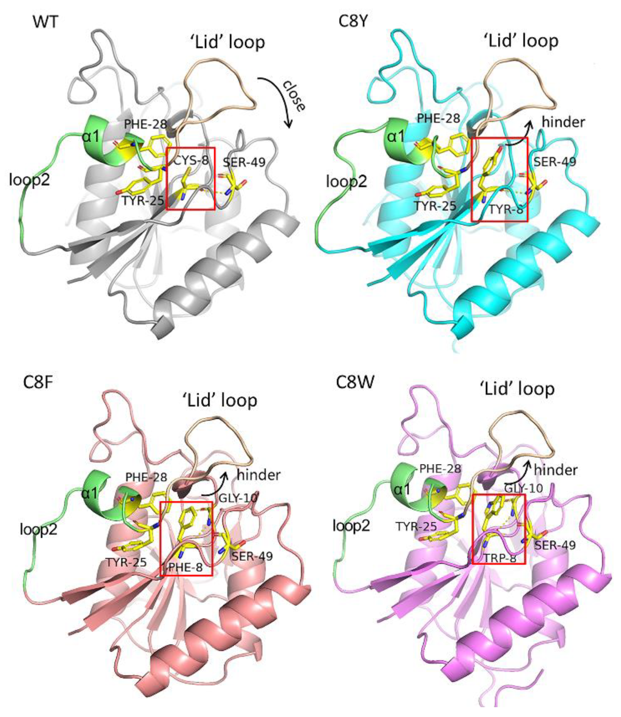 Molecules 27 06670 g006 Molecules 27 06670 g006