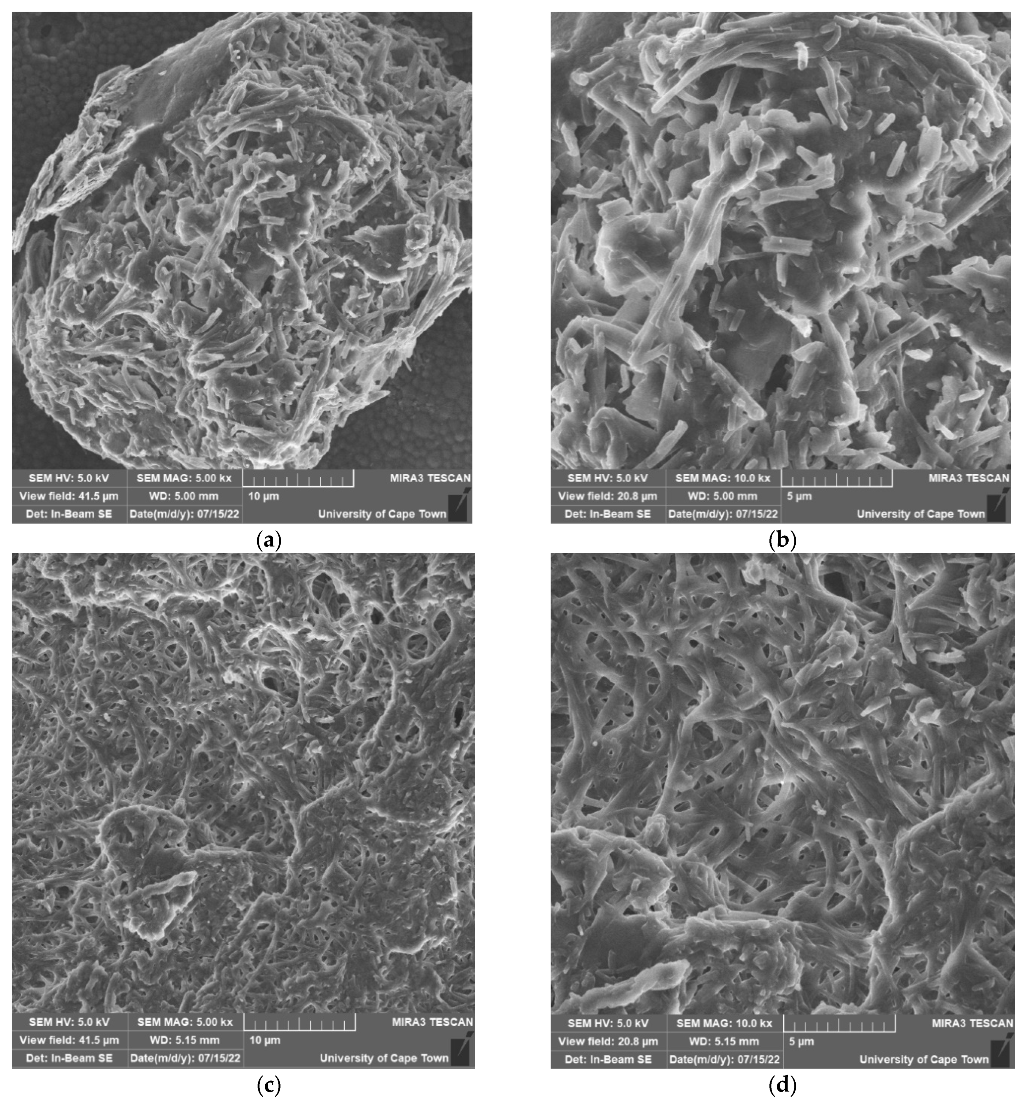 Molecules 27 06678 g007a Molecules 27 06678 g007a