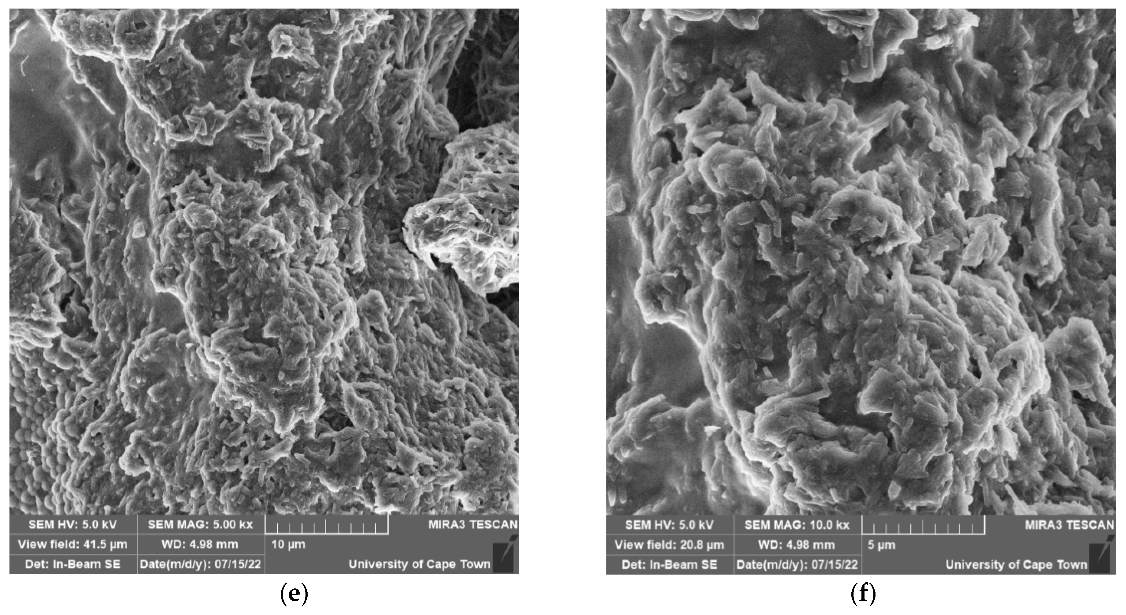 Molecules 27 06678 g007b Molecules 27 06678 g007b
