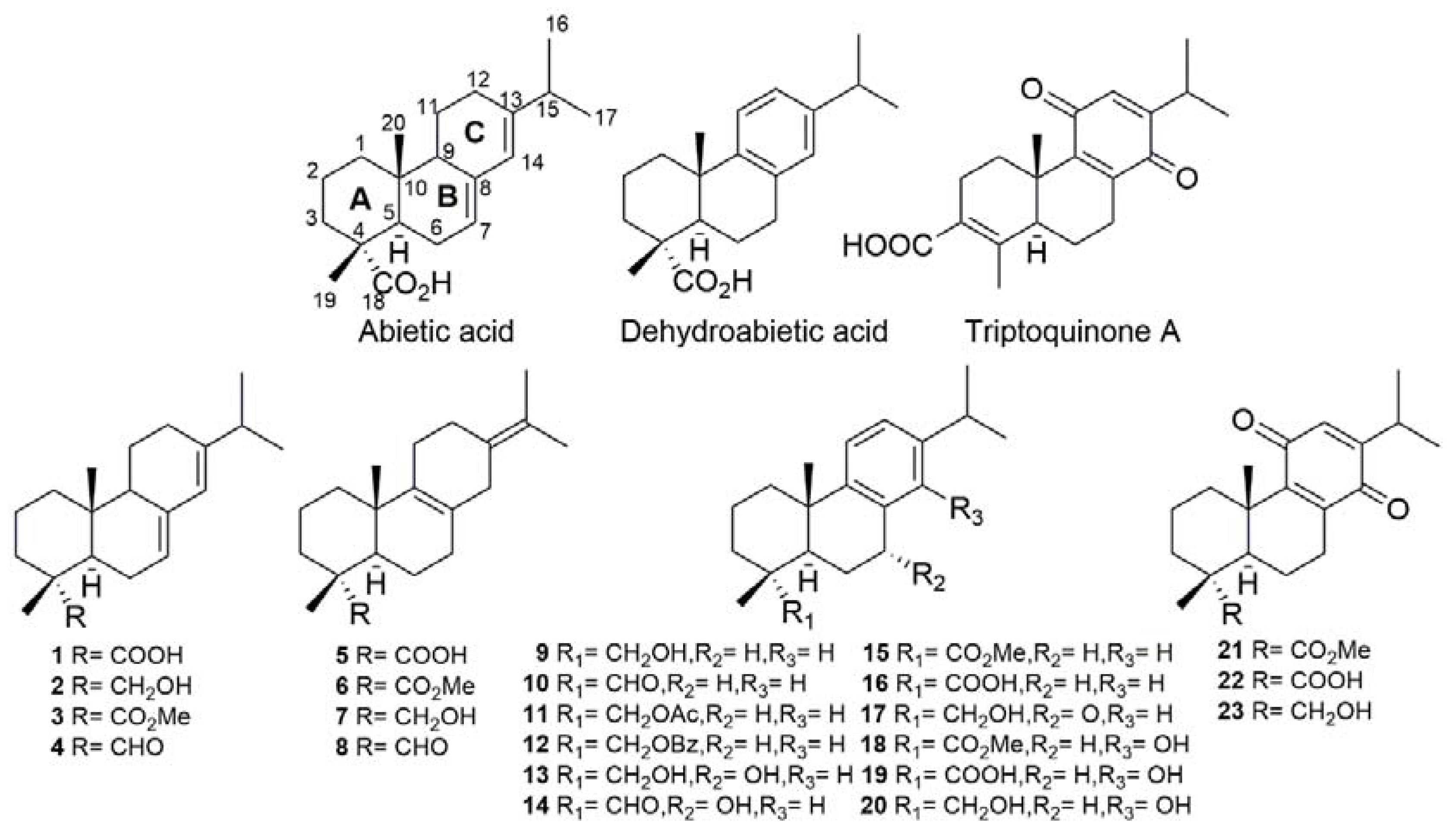 Molecules 27 06684 g001 Molecules 27 06684 g001