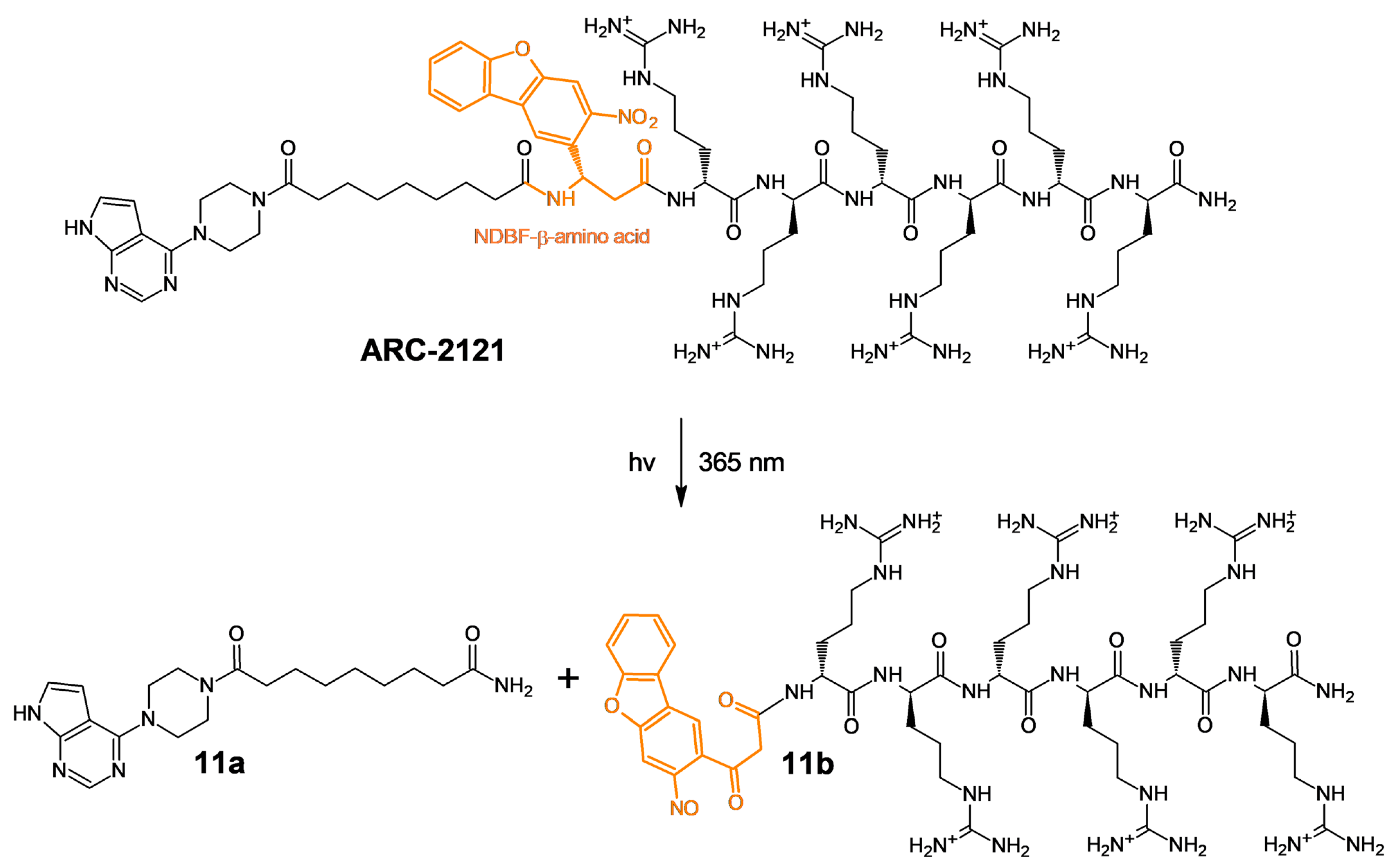 Molecules 27 06689 sch003 Molecules 27 06689 sch003