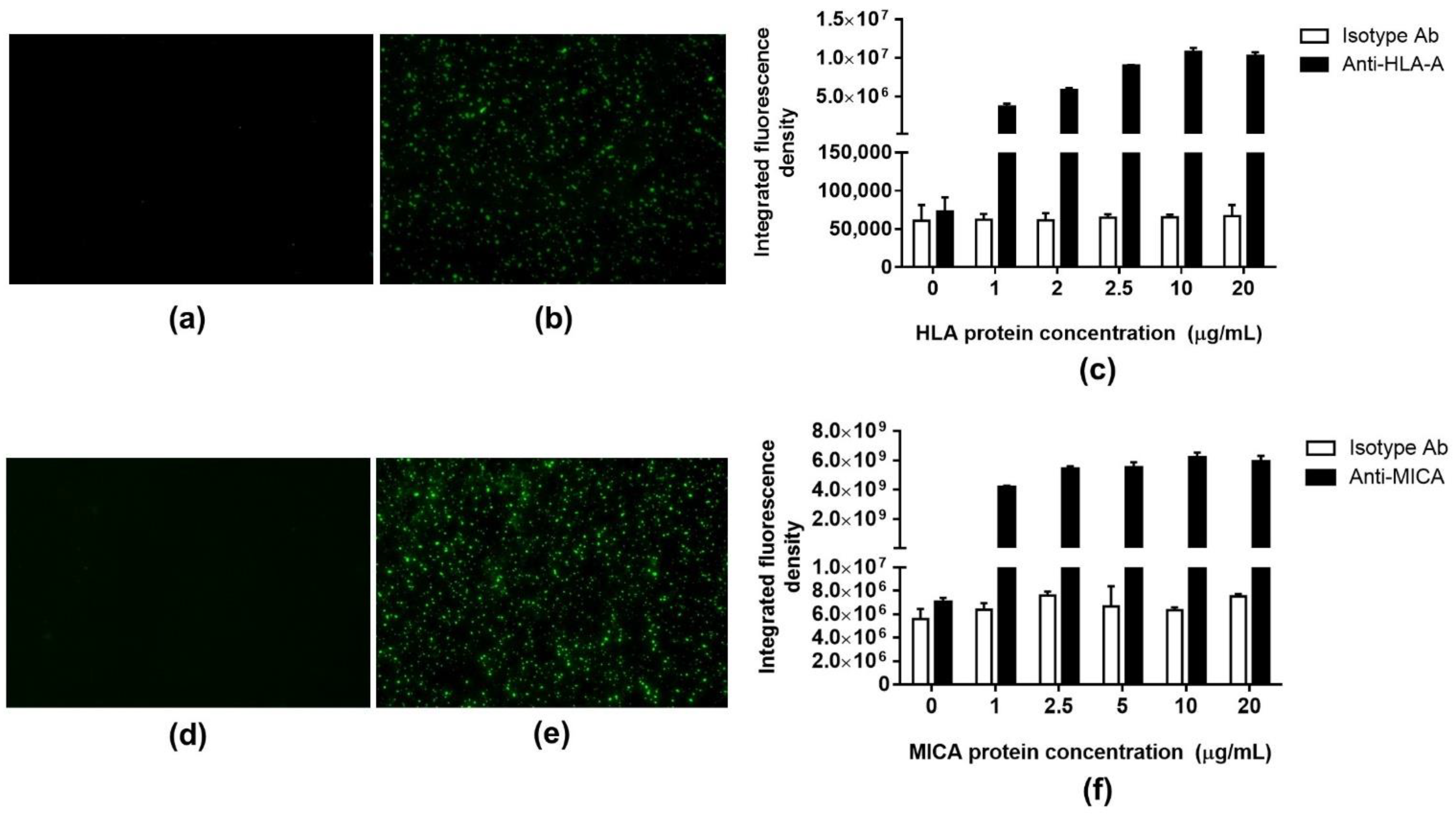 Molecules 27 06697 g003 Molecules 27 06697 g003