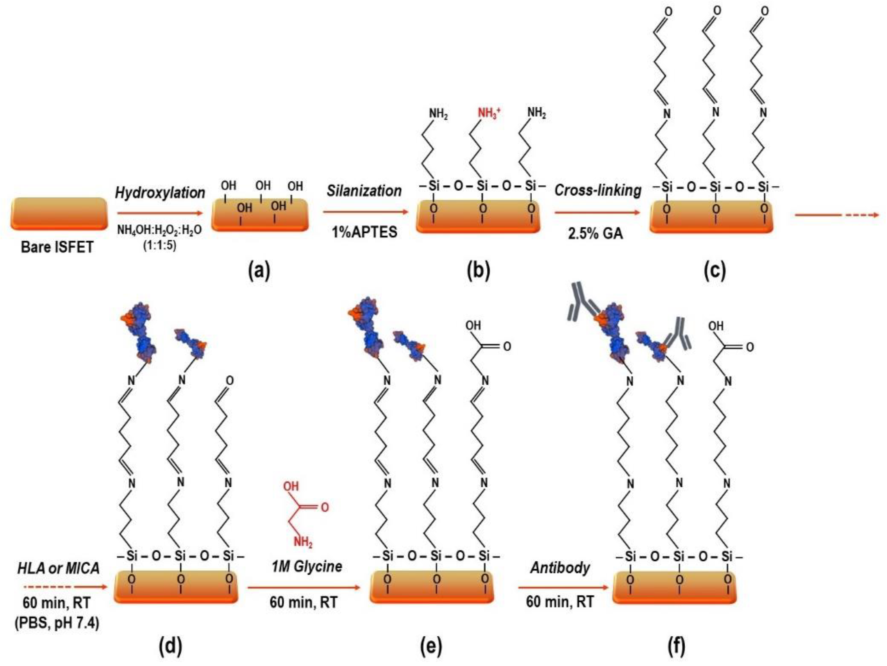 Molecules 27 06697 g010 Molecules 27 06697 g010