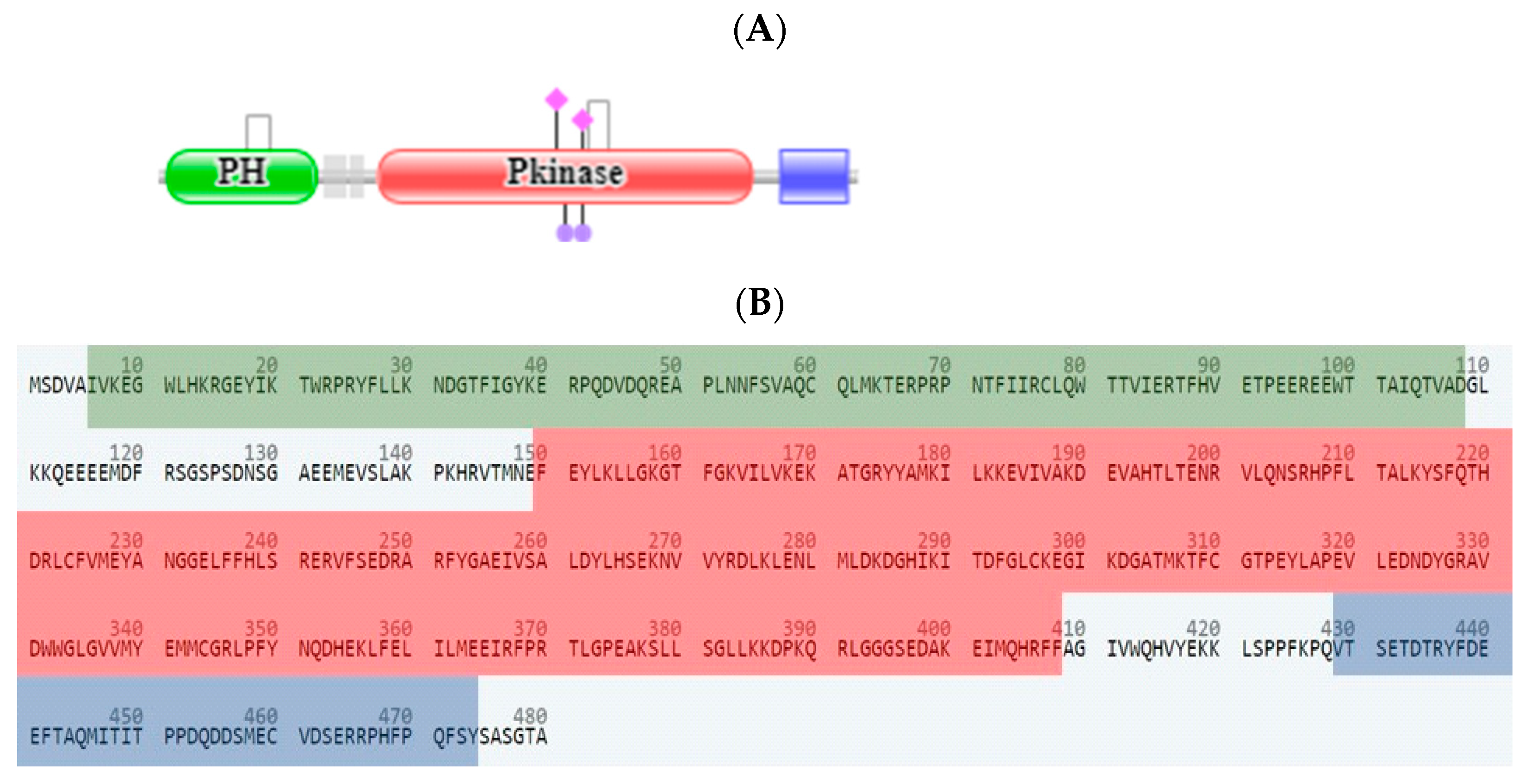 Molecules 27 06709 g010