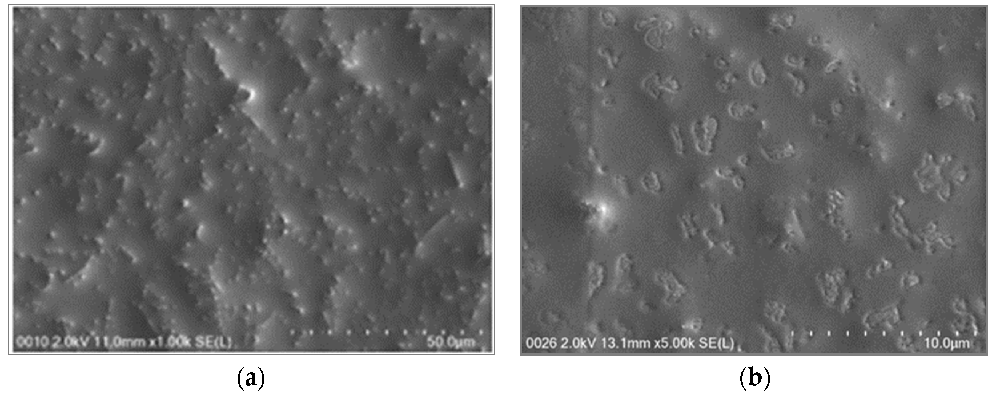 Molecules 27 06725 g002 Molecules 27 06725 g002