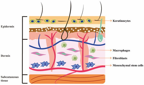 Molecules | Free Full-Text | Emerging Effects of Resveratrol on Wound ...