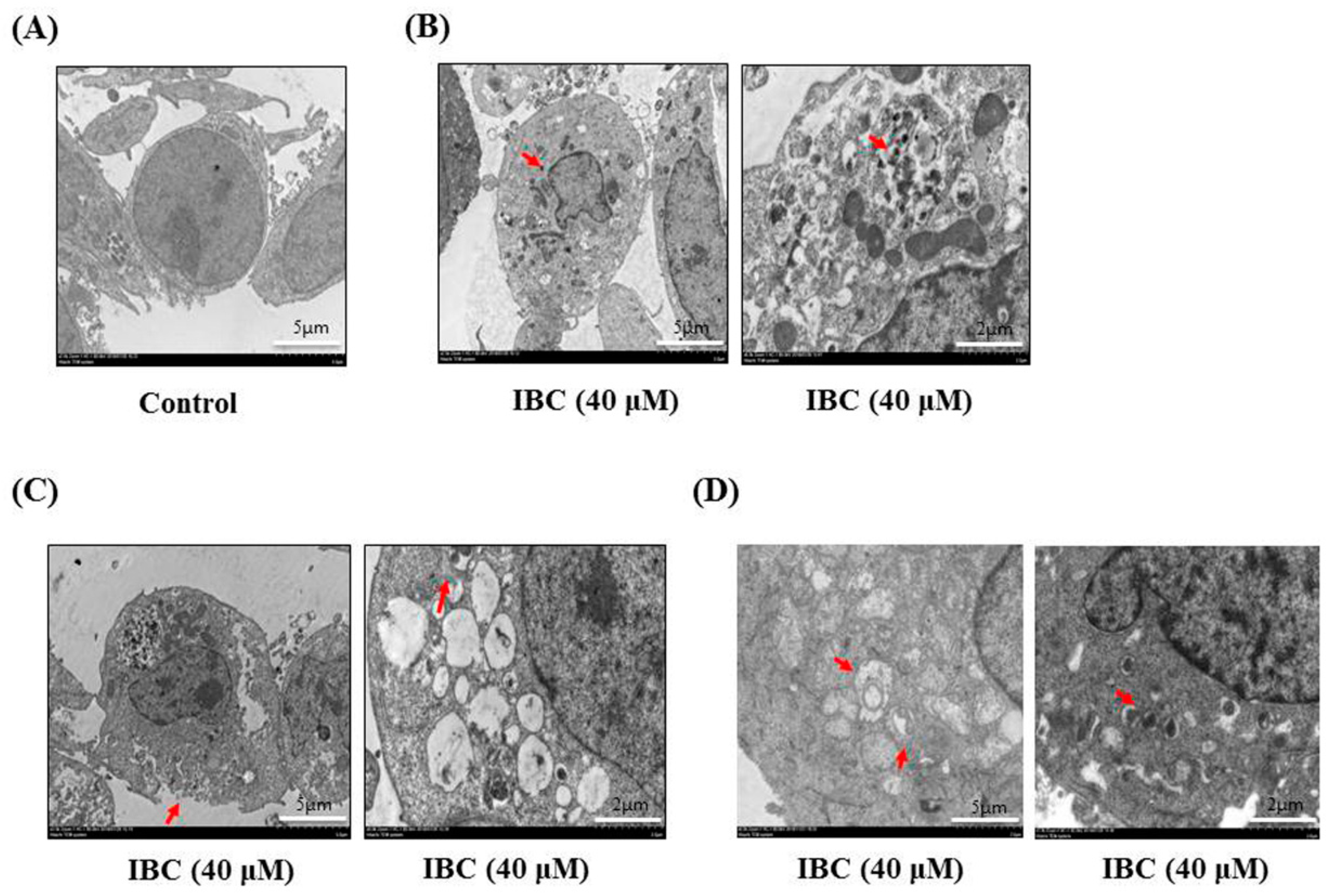 Molecules 27 06787 g005 Molecules 27 06787 g005