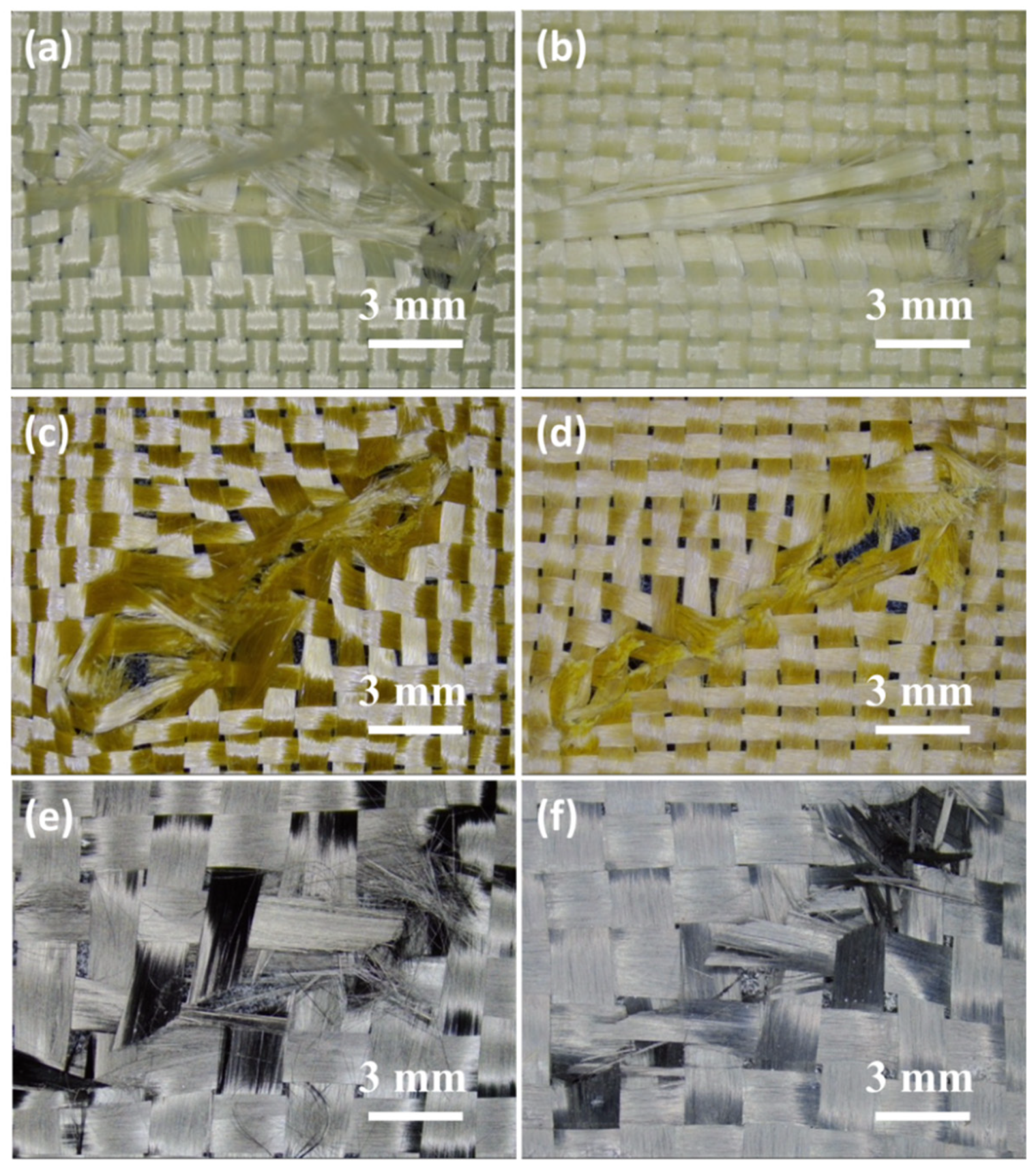 Molecules 27 06799 g003 Molecules 27 06799 g003
