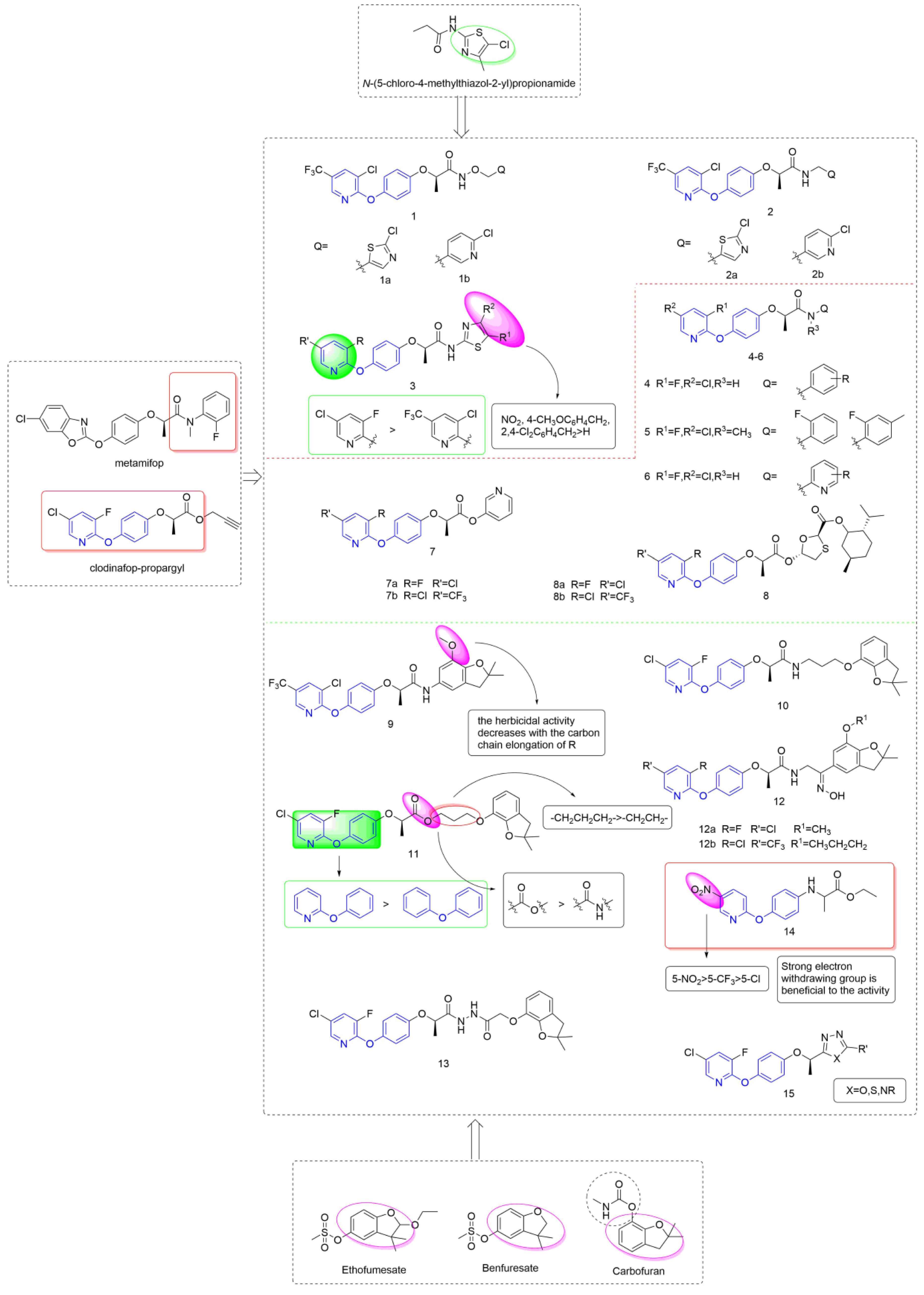 Molecules 27 06803 g003