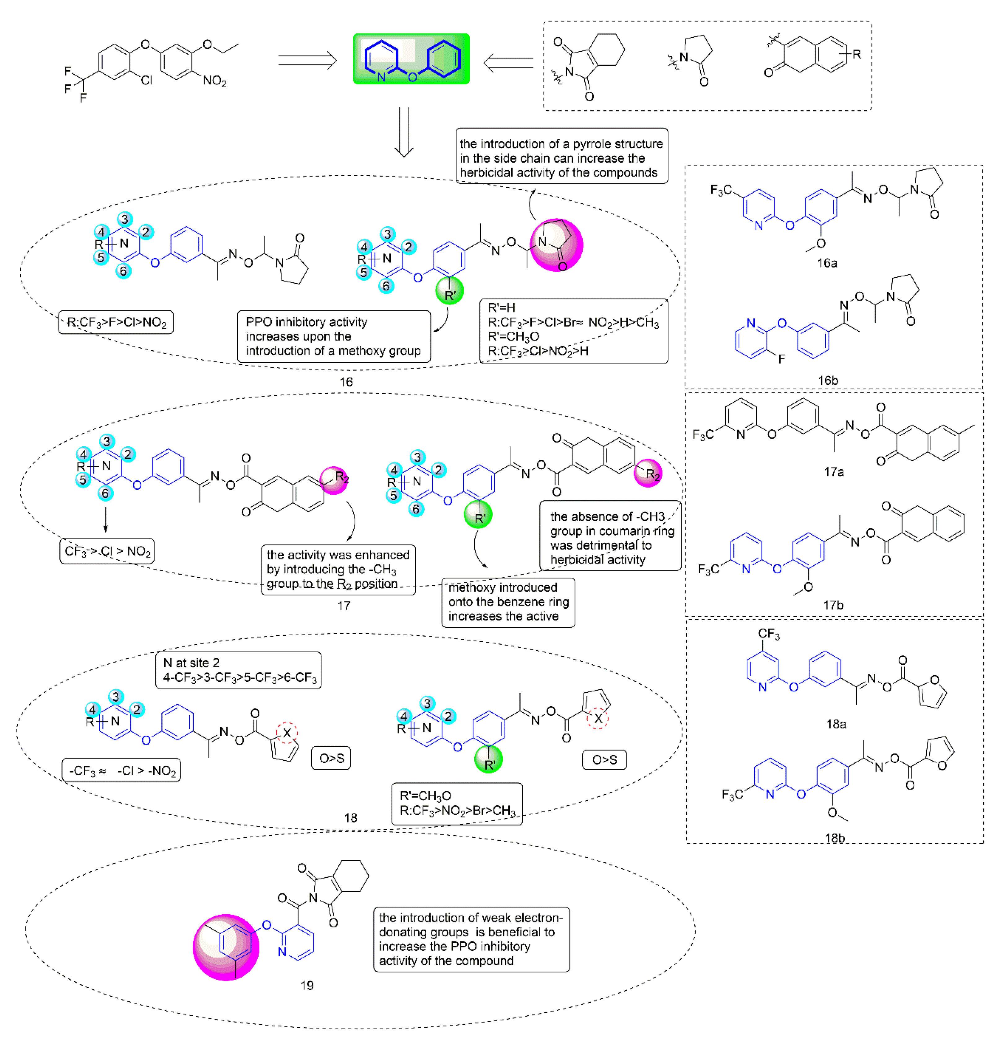 Molecules 27 06803 g004
