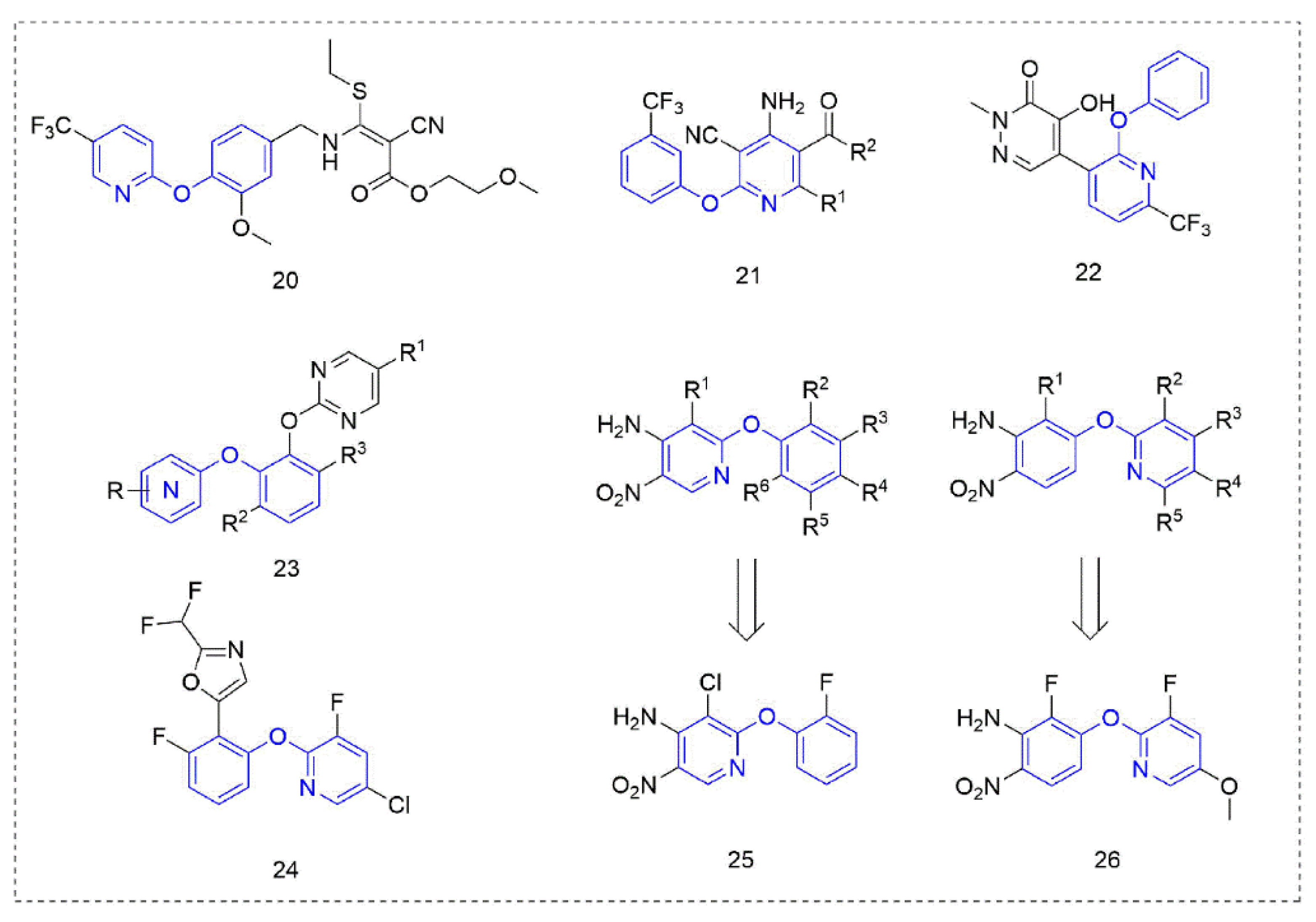 Molecules 27 06803 g005