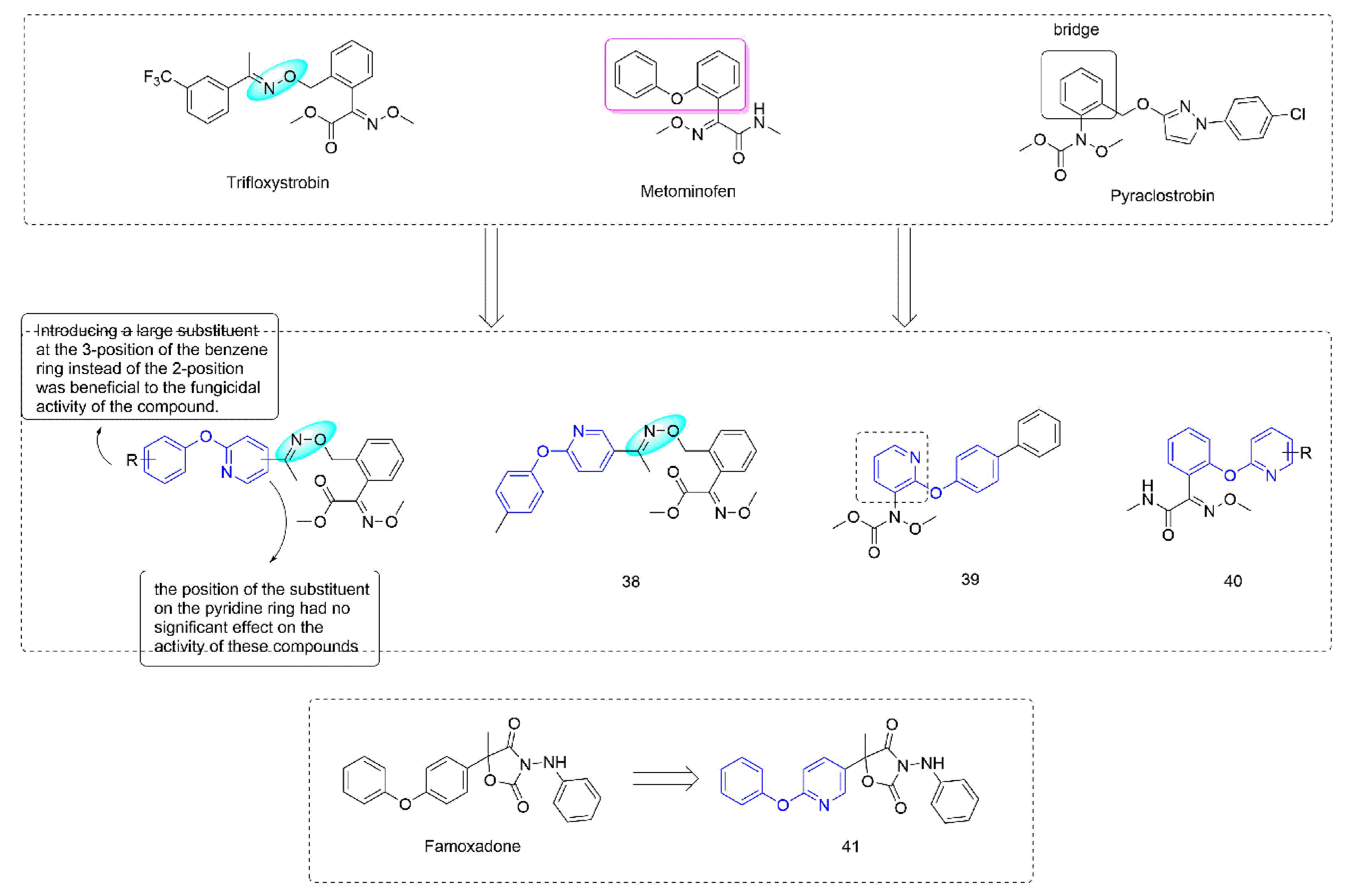 Molecules 27 06803 g007