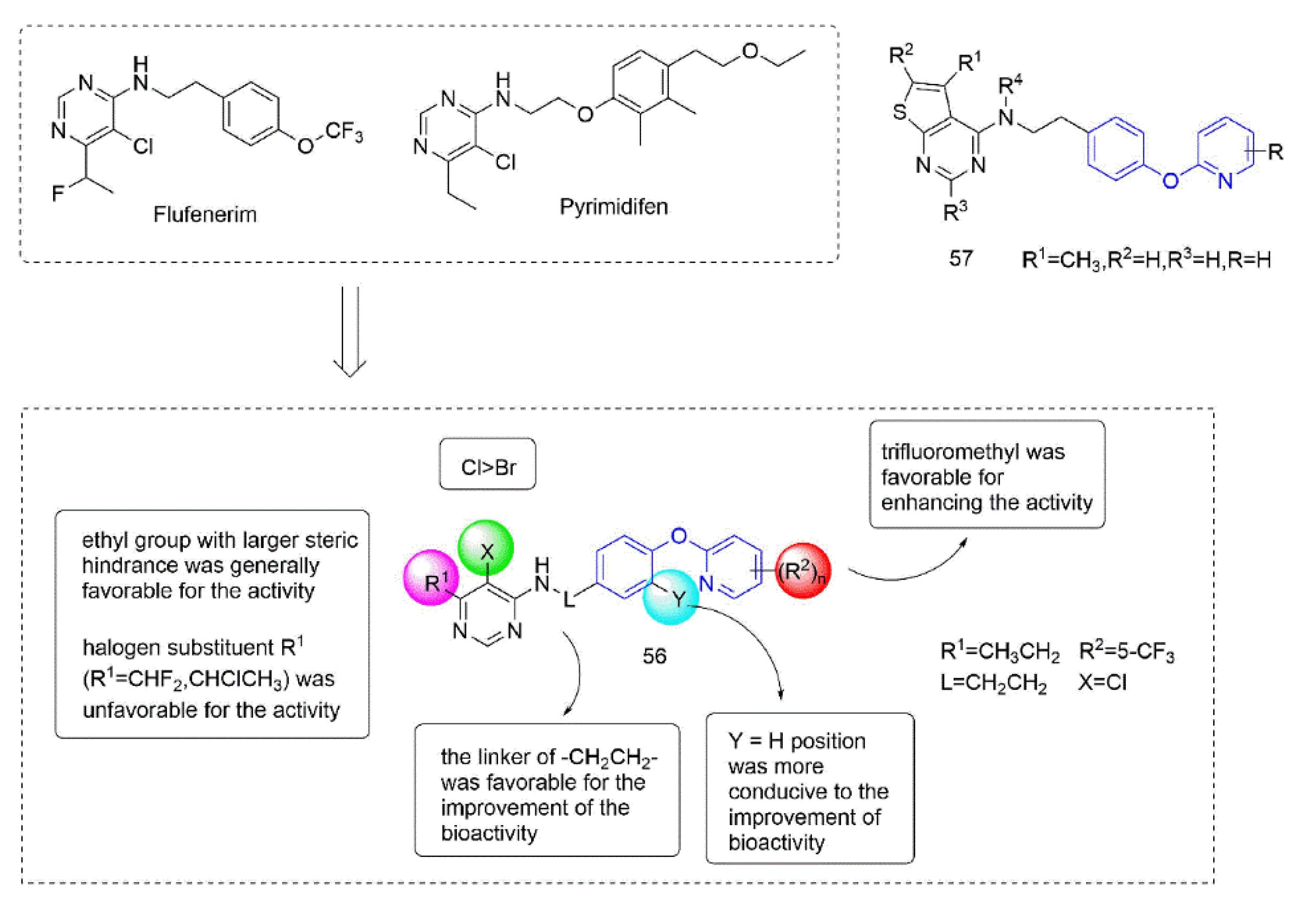 Molecules 27 06803 g012