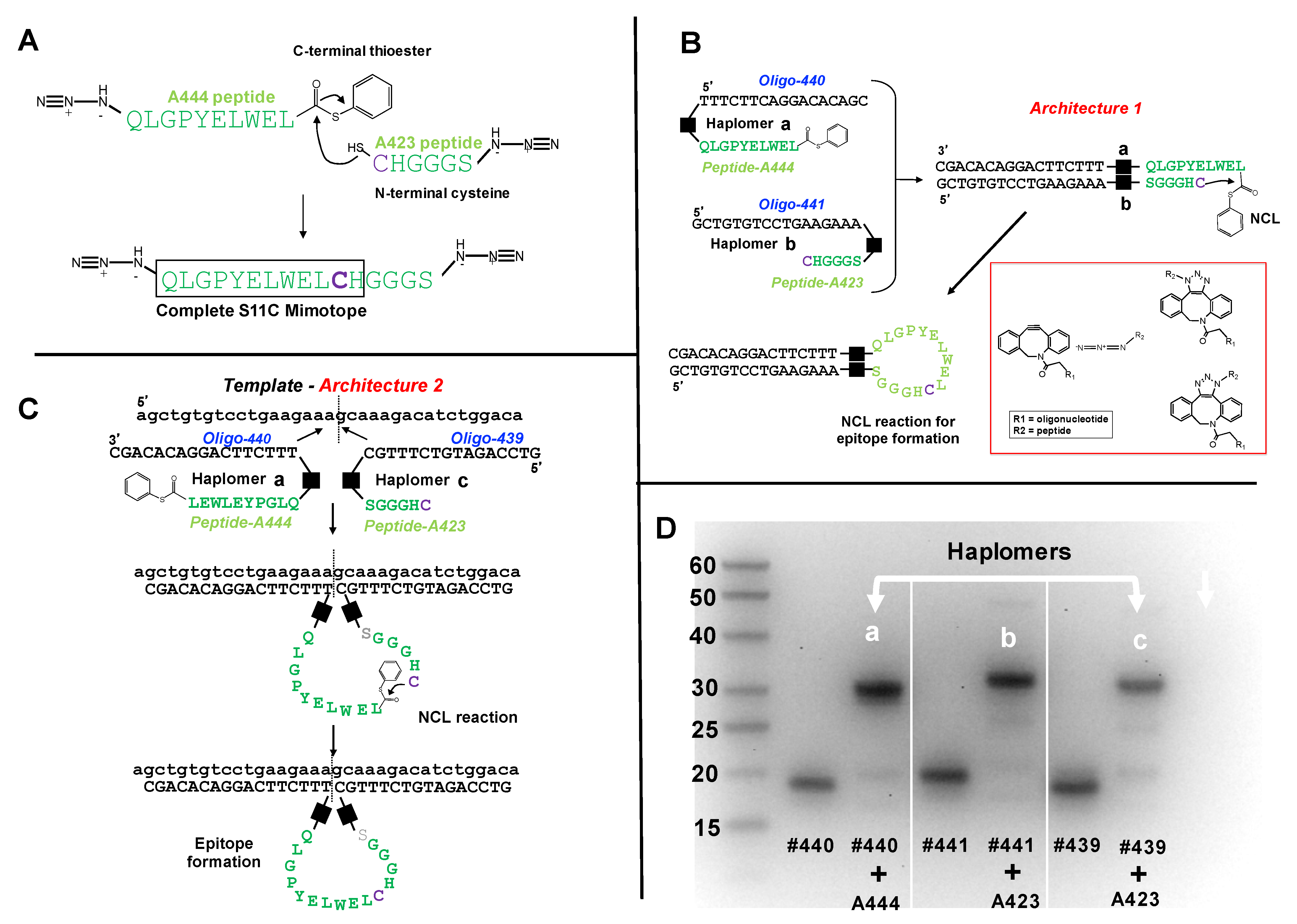 Molecules 27 06831 g001 Molecules 27 06831 g001