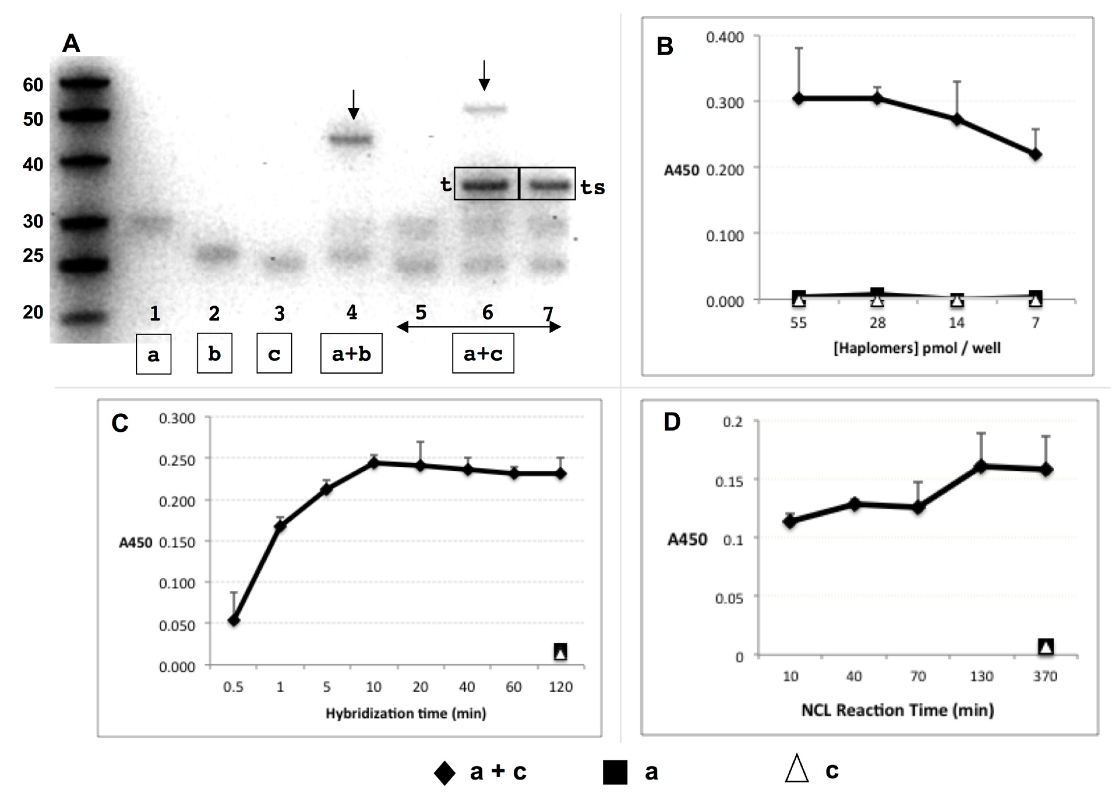 Molecules 27 06831 g002 Molecules 27 06831 g002