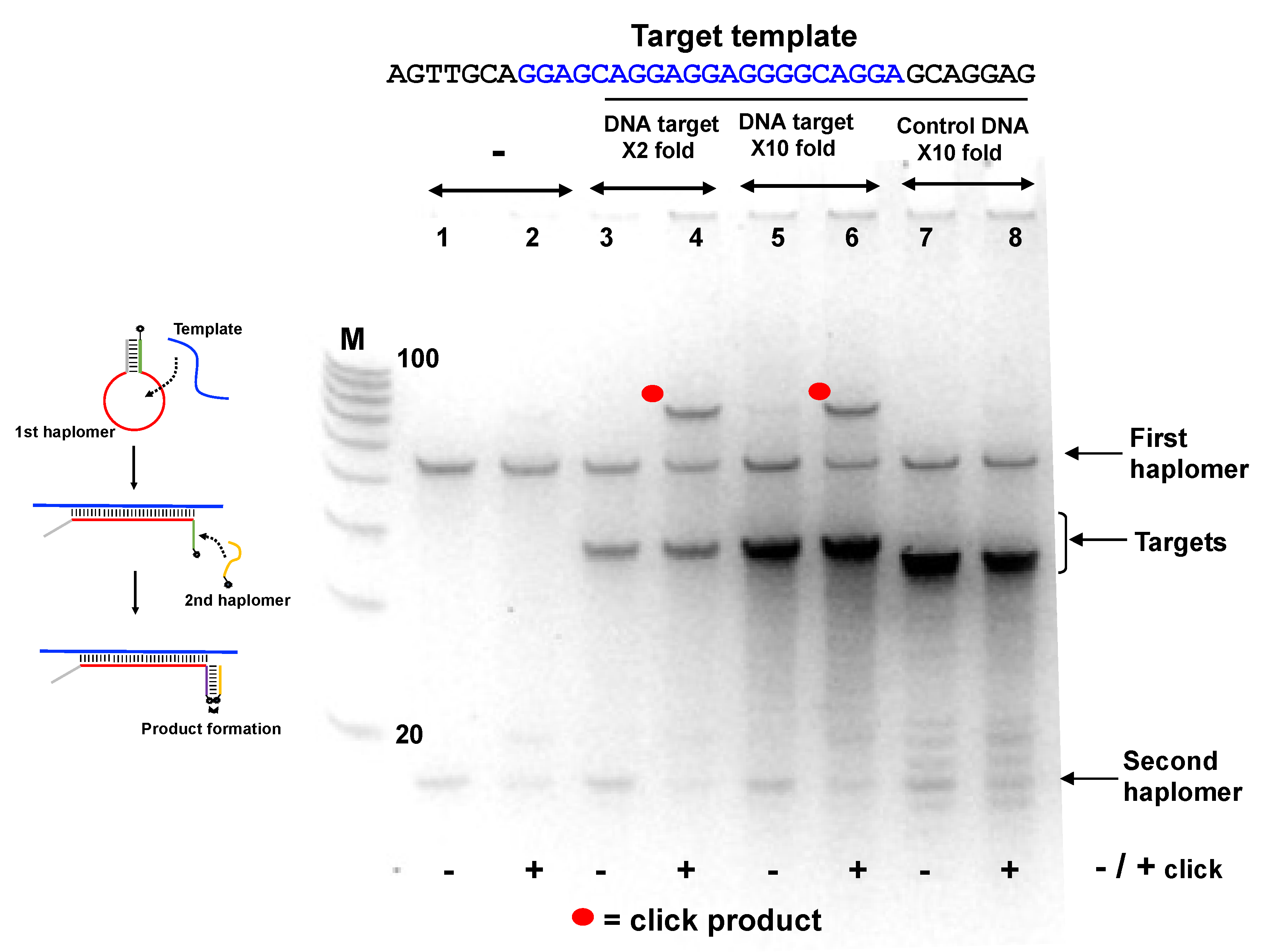 Molecules 27 06831 g005 Molecules 27 06831 g005