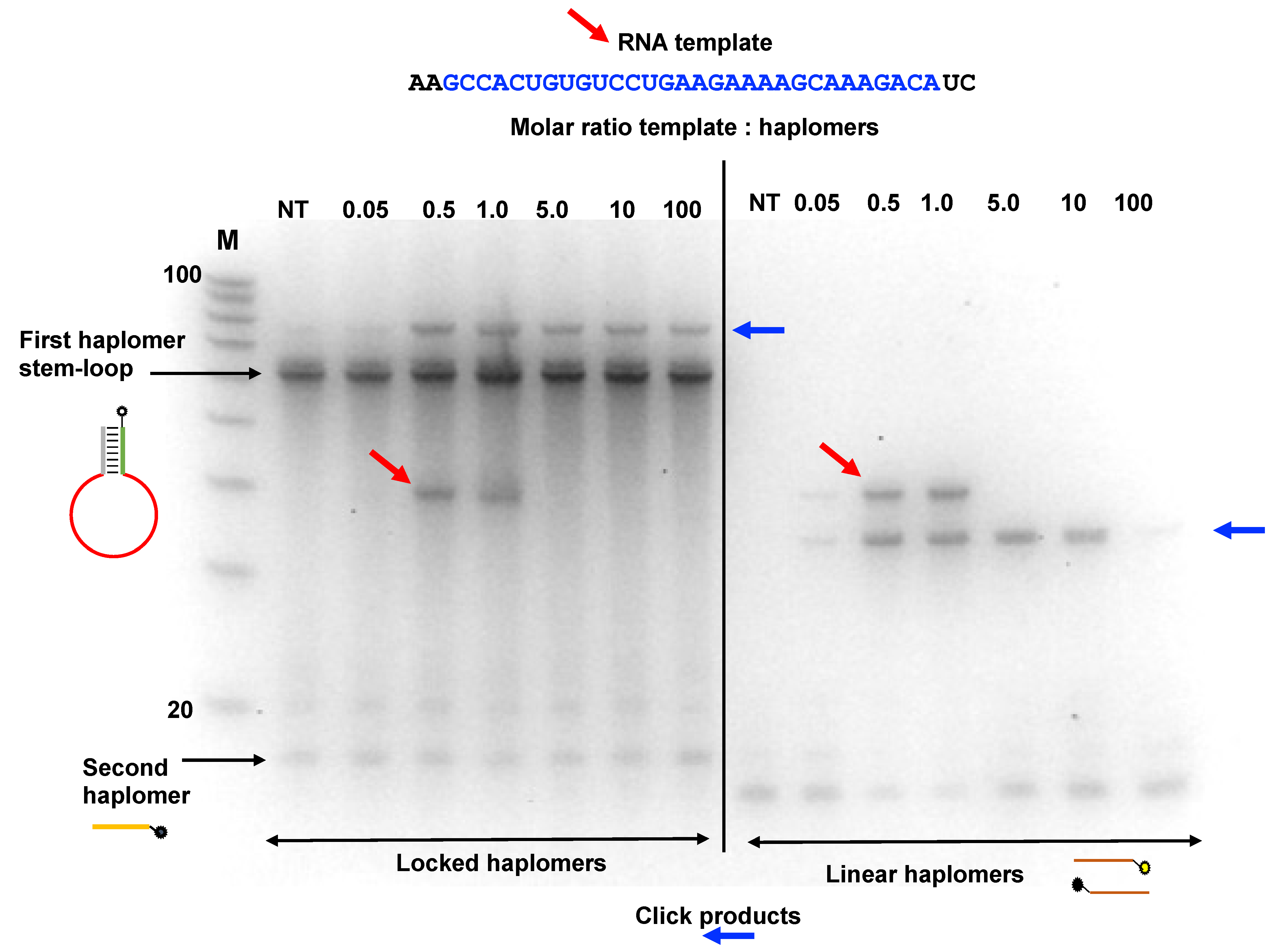Molecules 27 06831 g006 Molecules 27 06831 g006