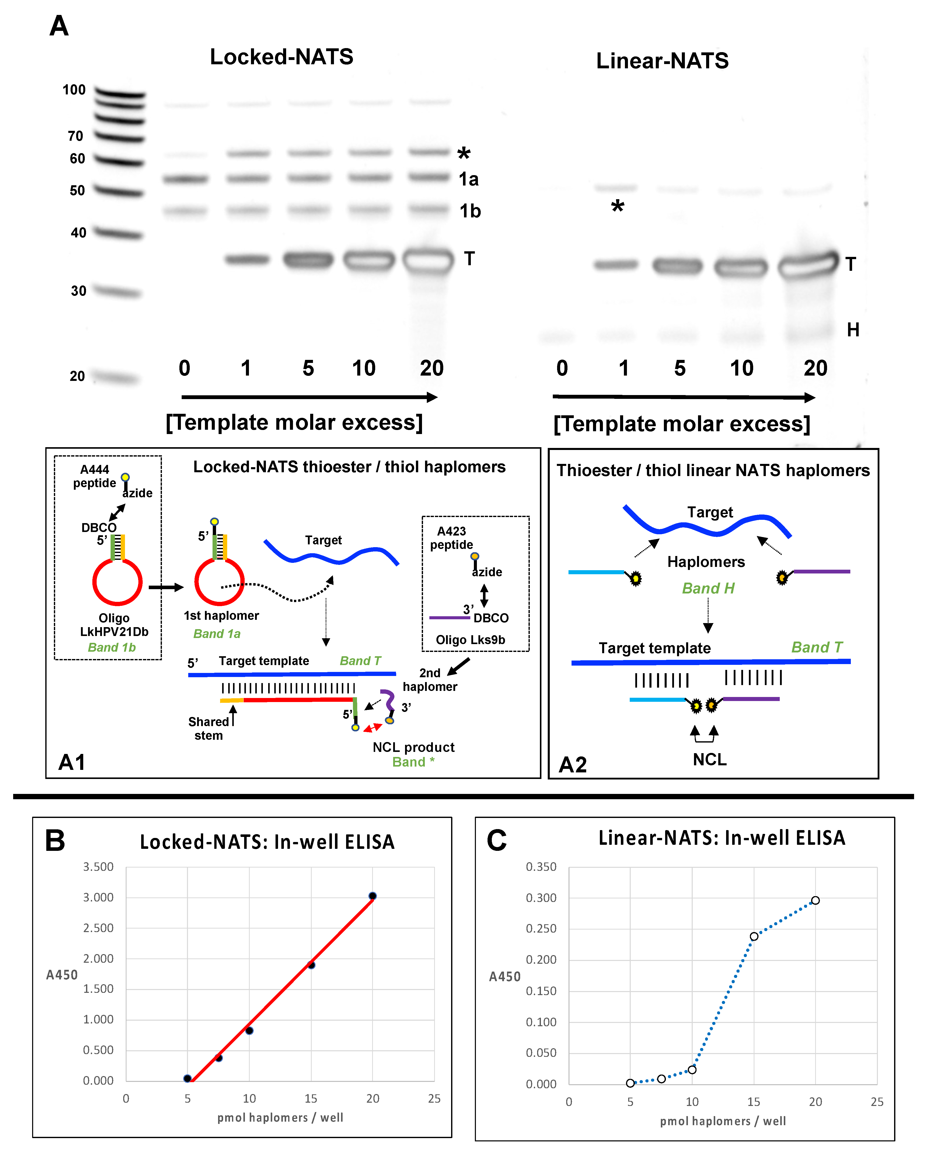 Molecules 27 06831 g008 Molecules 27 06831 g008
