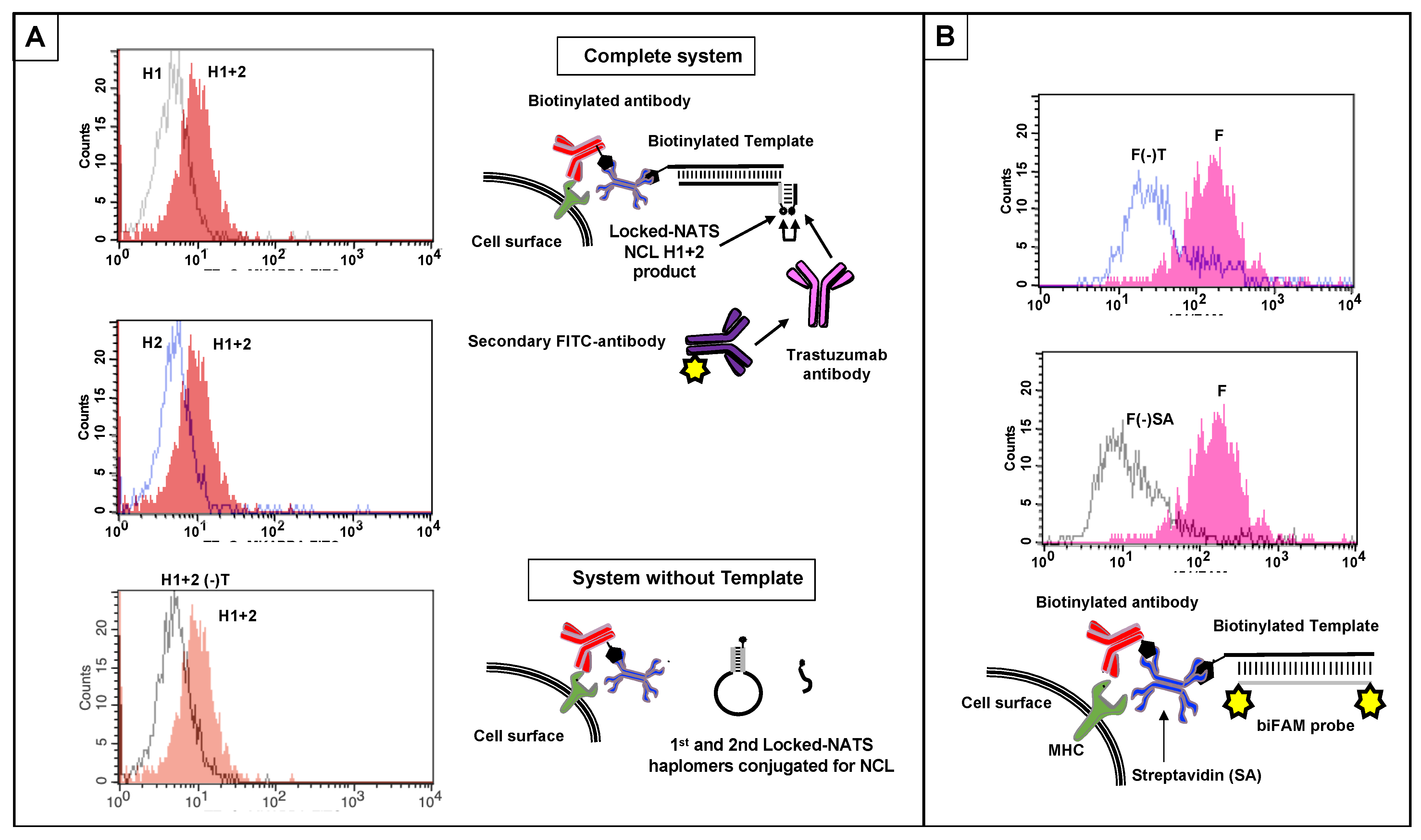 Molecules 27 06831 g009 Molecules 27 06831 g009