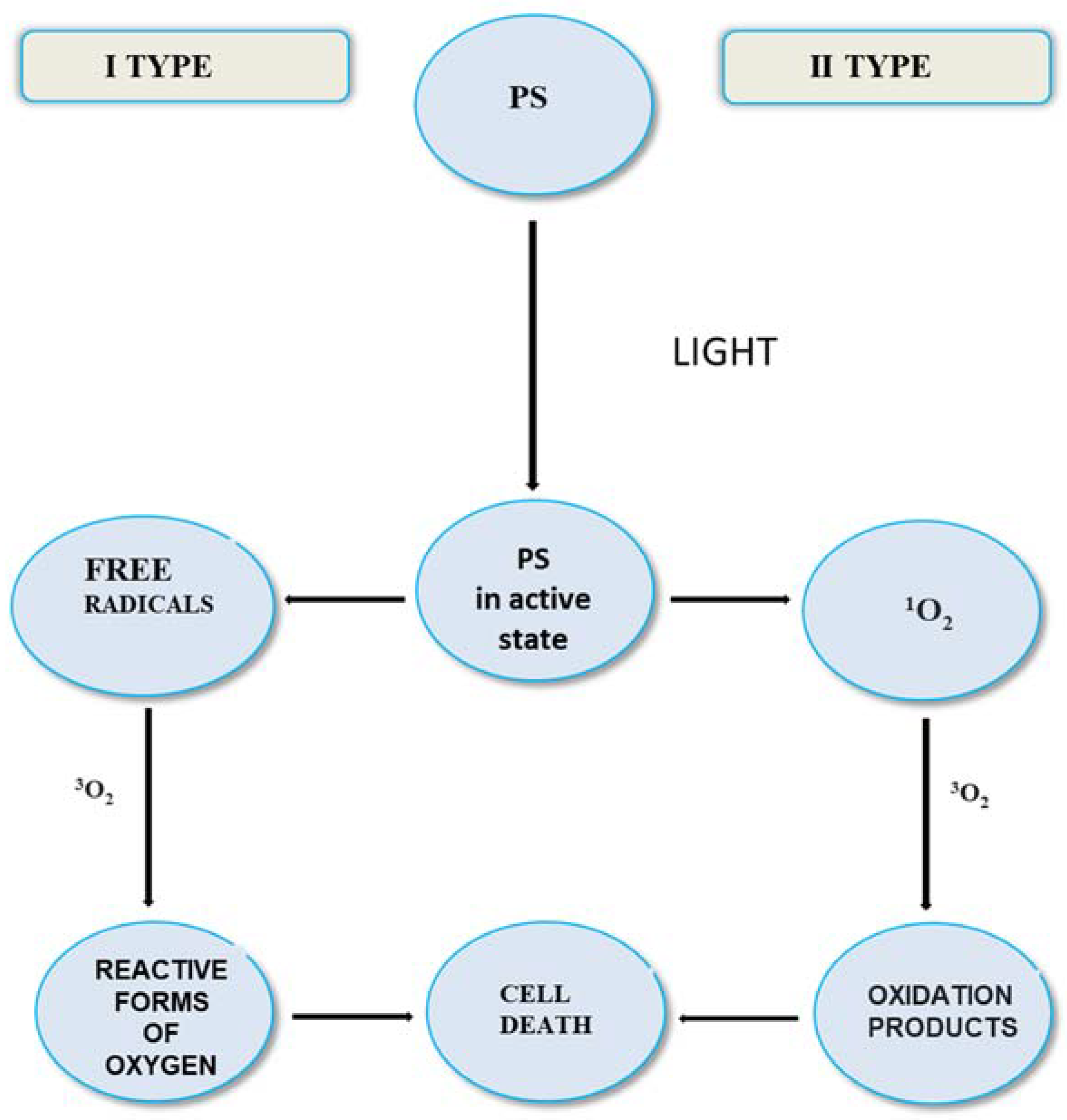 Molecules 27 06847 g003 Molecules 27 06847 g003