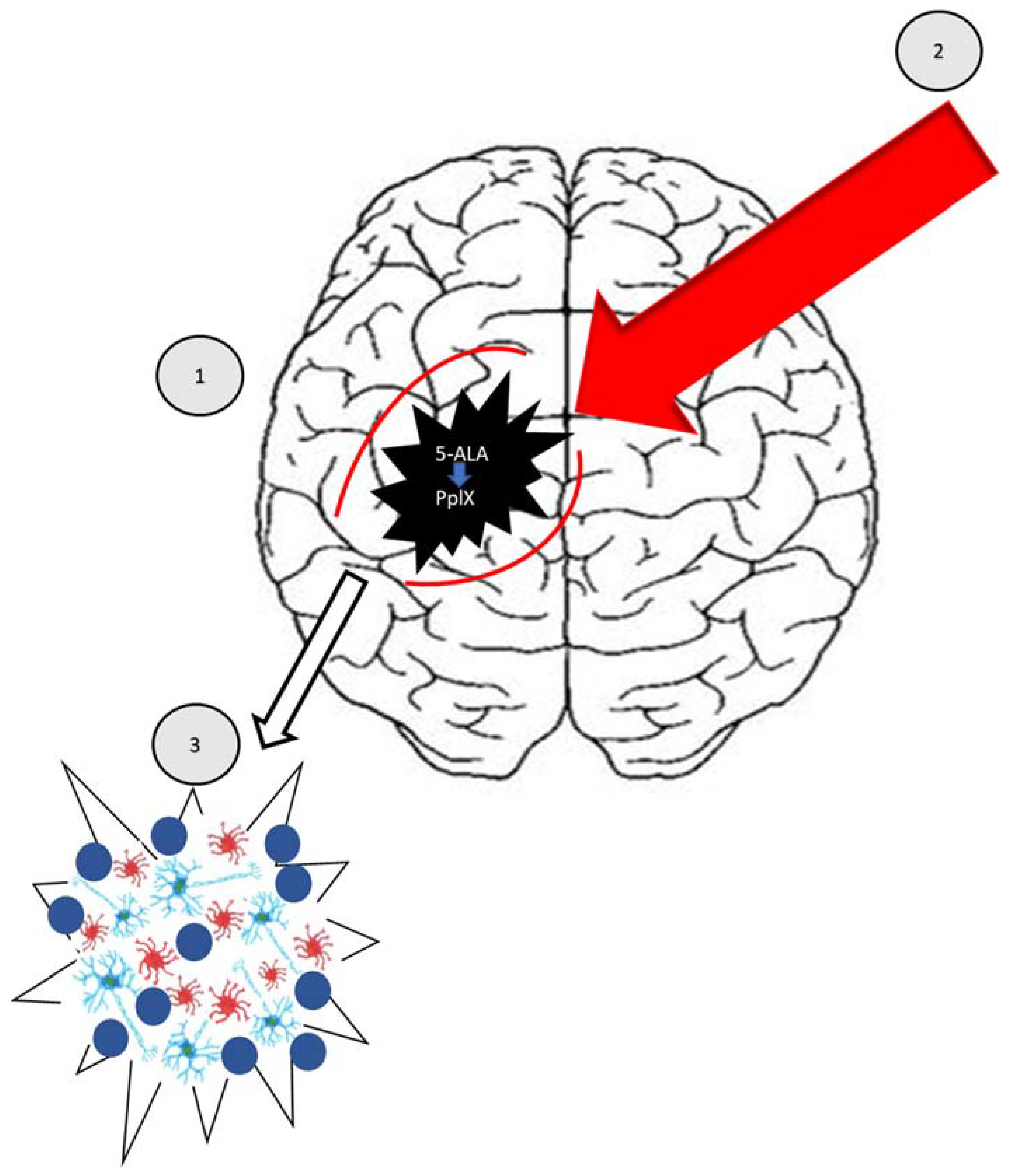 Molecules 27 06847 g005 Molecules 27 06847 g005